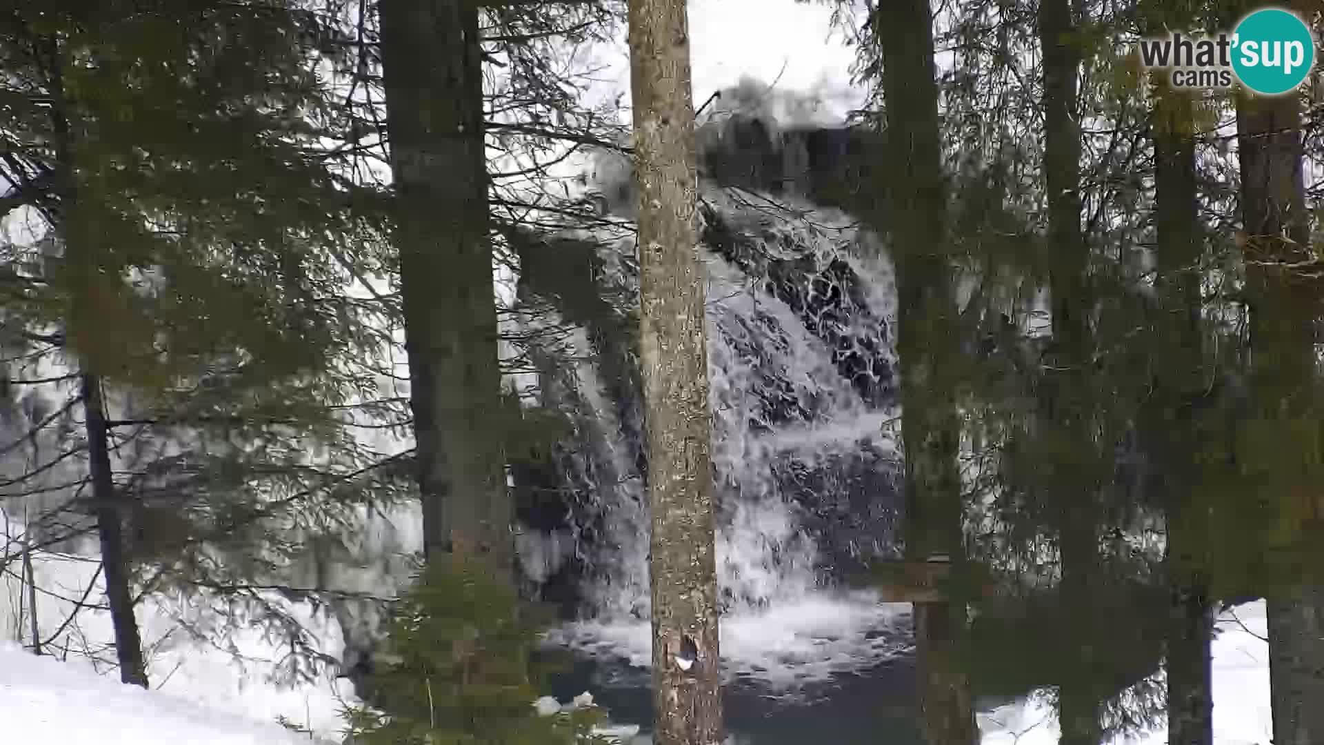 Web kamera Rogla apartmani Dandi – Jurgovo