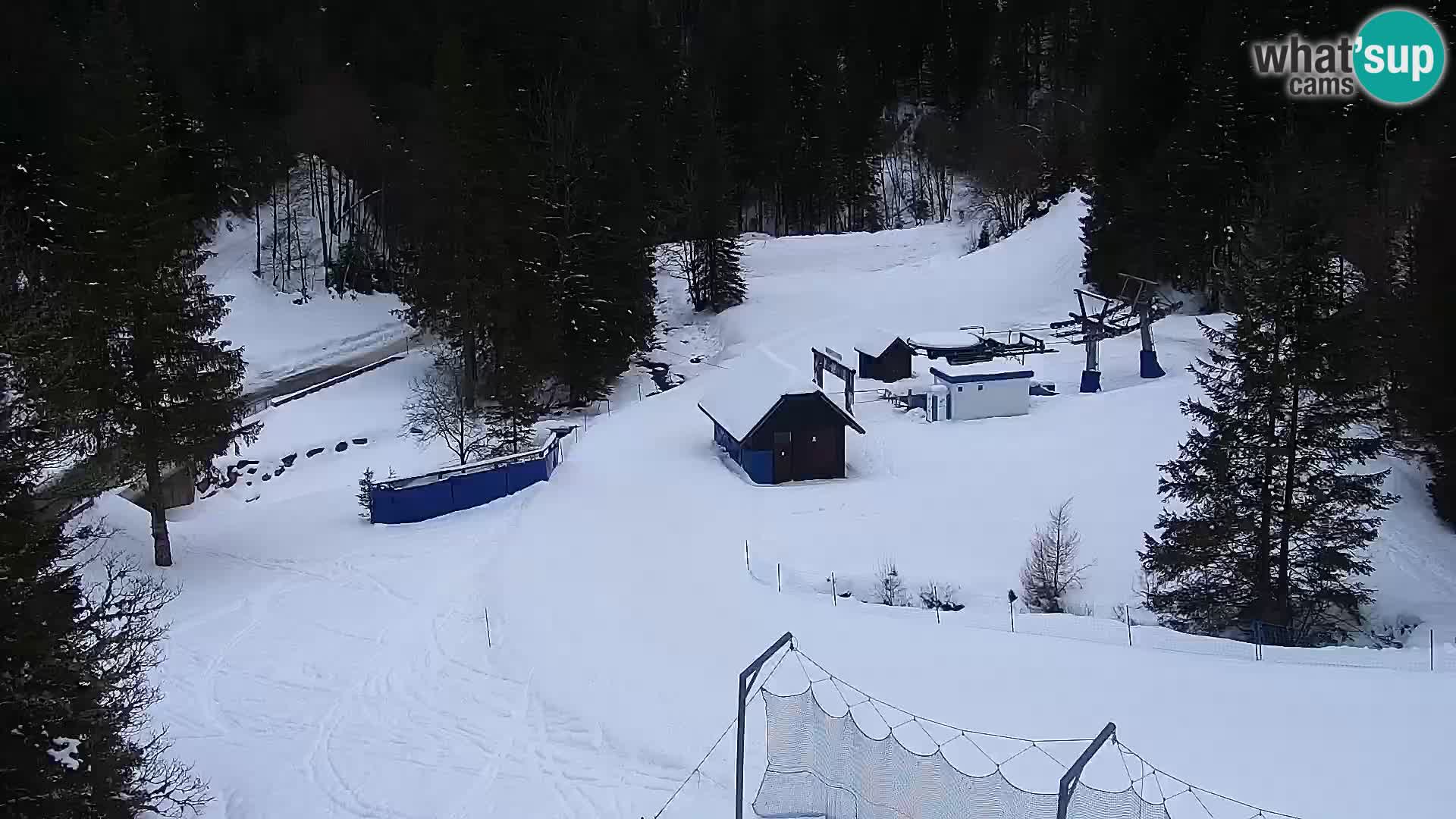 Spletna kamera Rogla apartmaji Dandi – Jurgovo