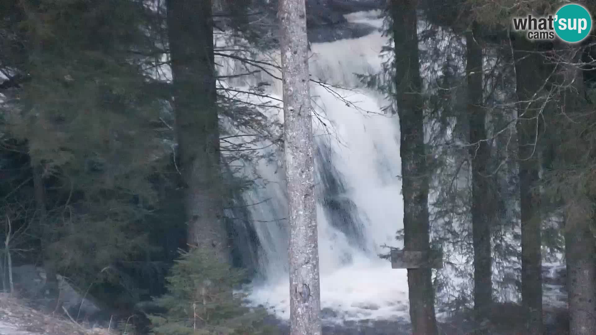 Livecam Rogla apartments Dandi – Jurgovo