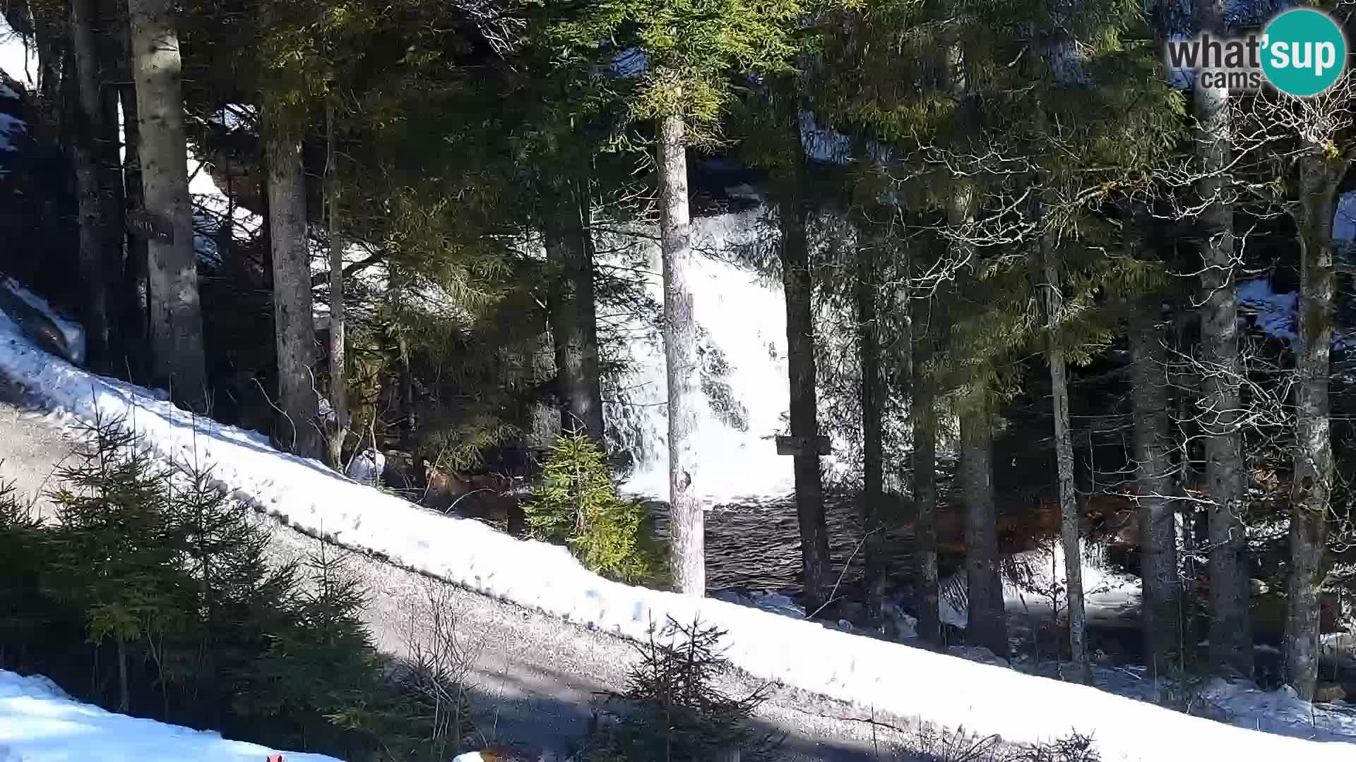 Camera en vivo Rogla appartamentos Dandi – Jurgovo