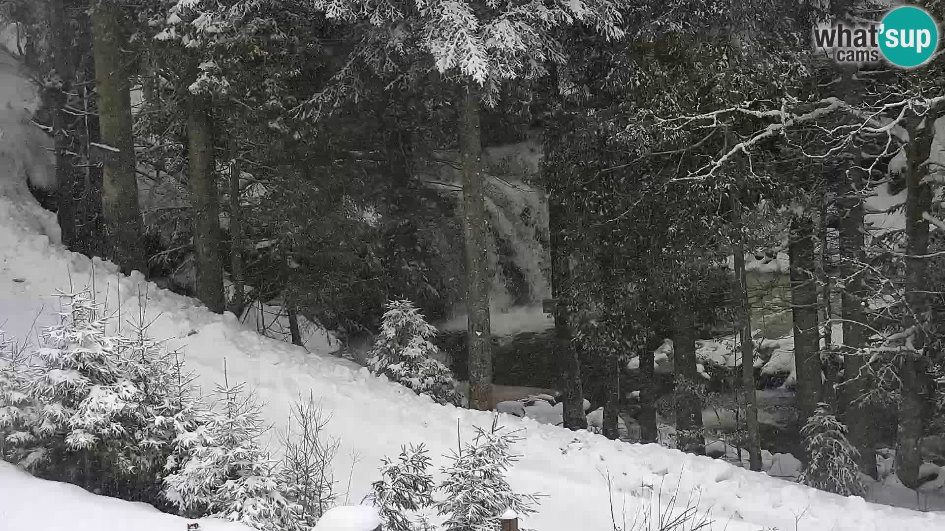 Live webcam Rogla appartamenti Dandi – Jurgovo