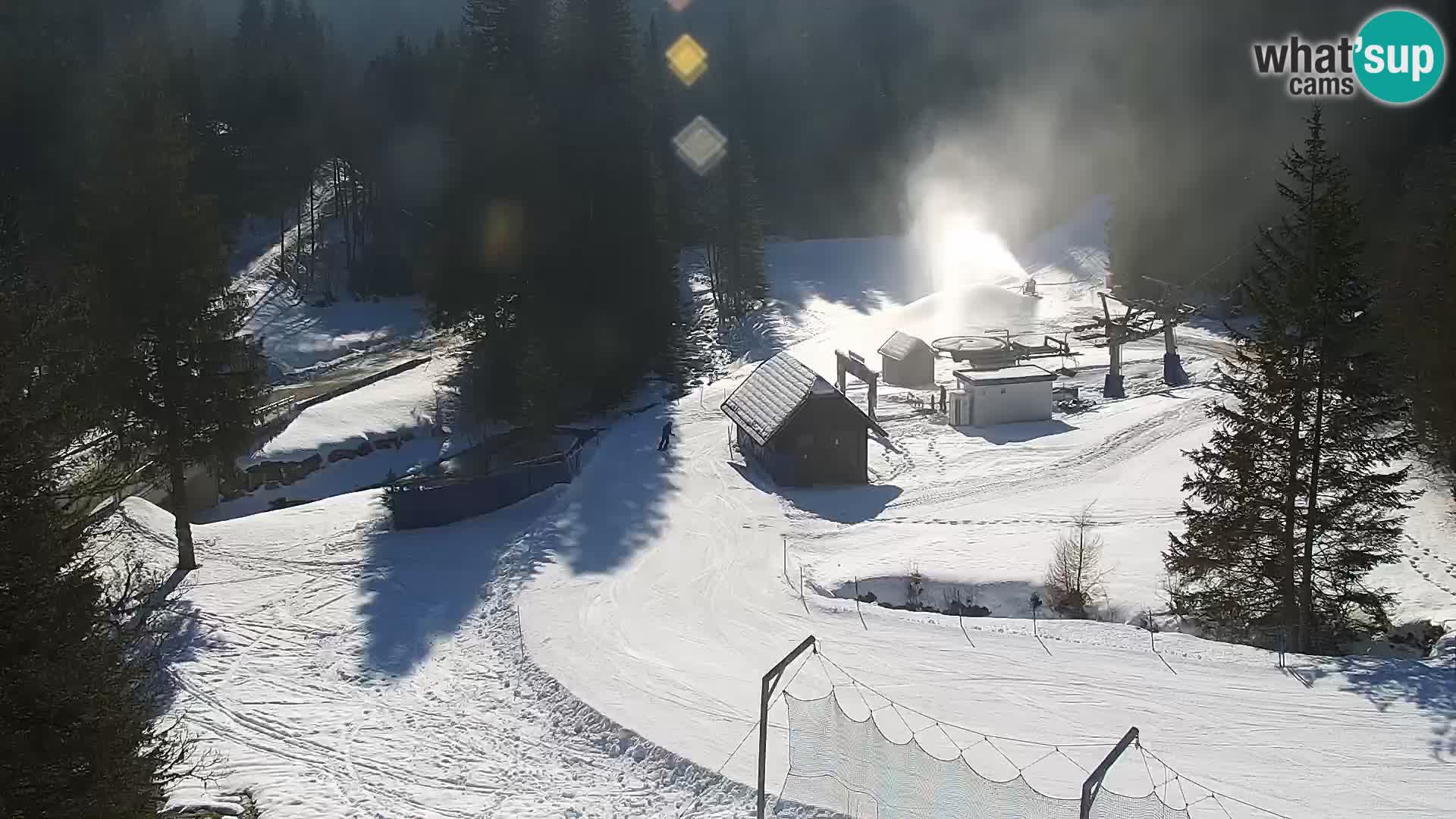 Webcam Rogla Wohnungen Dandi – Jurgovo