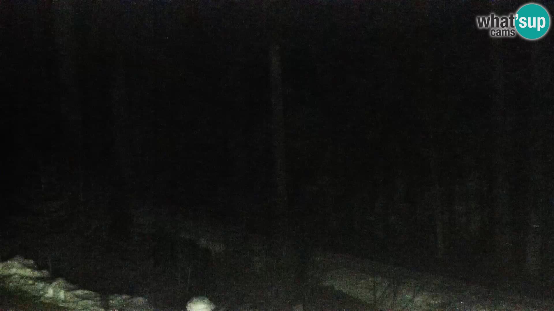 Webcam Rogla Wohnungen Dandi – Jurgovo