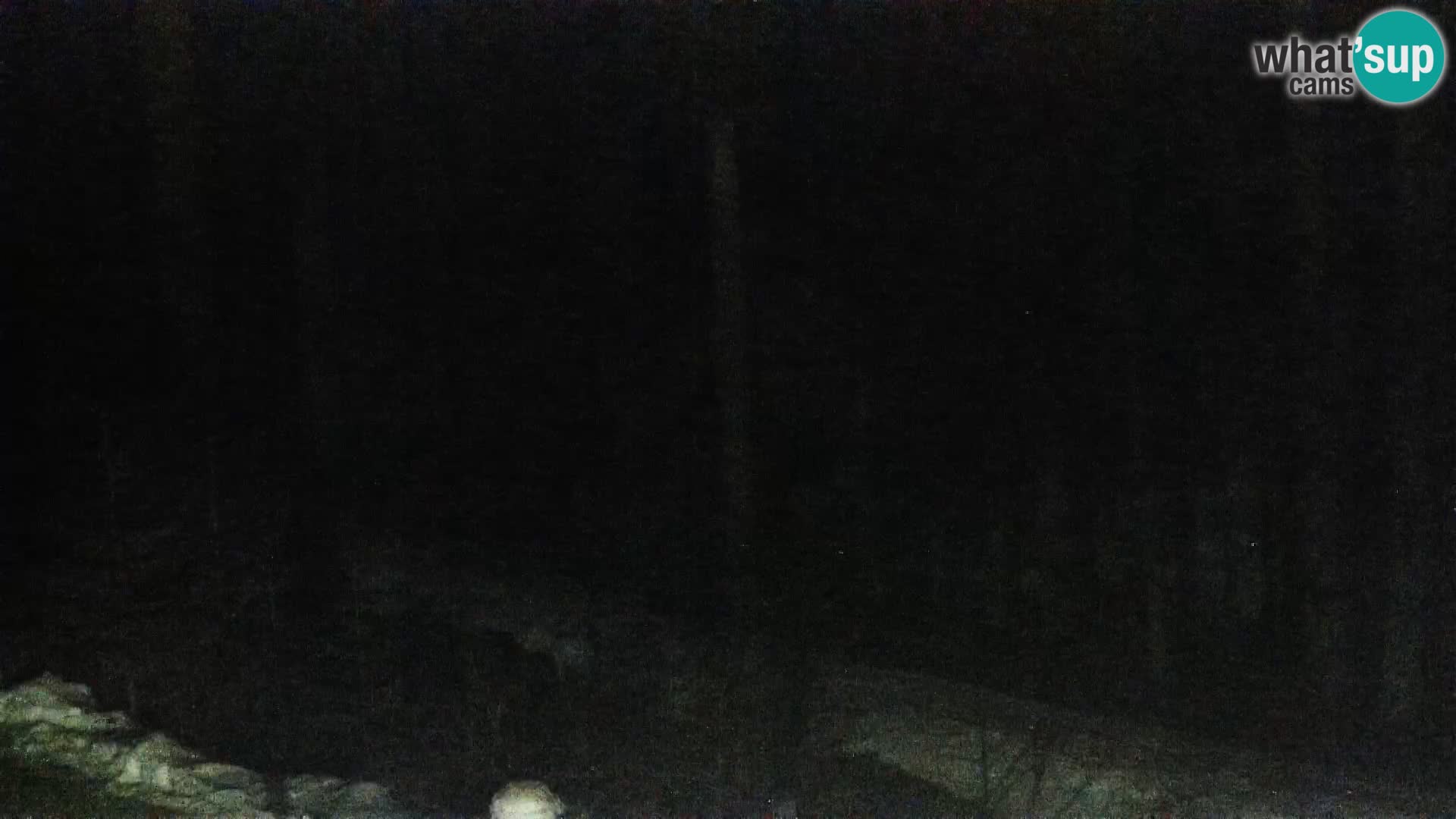 Live webcam Rogla appartamenti Dandi – Jurgovo