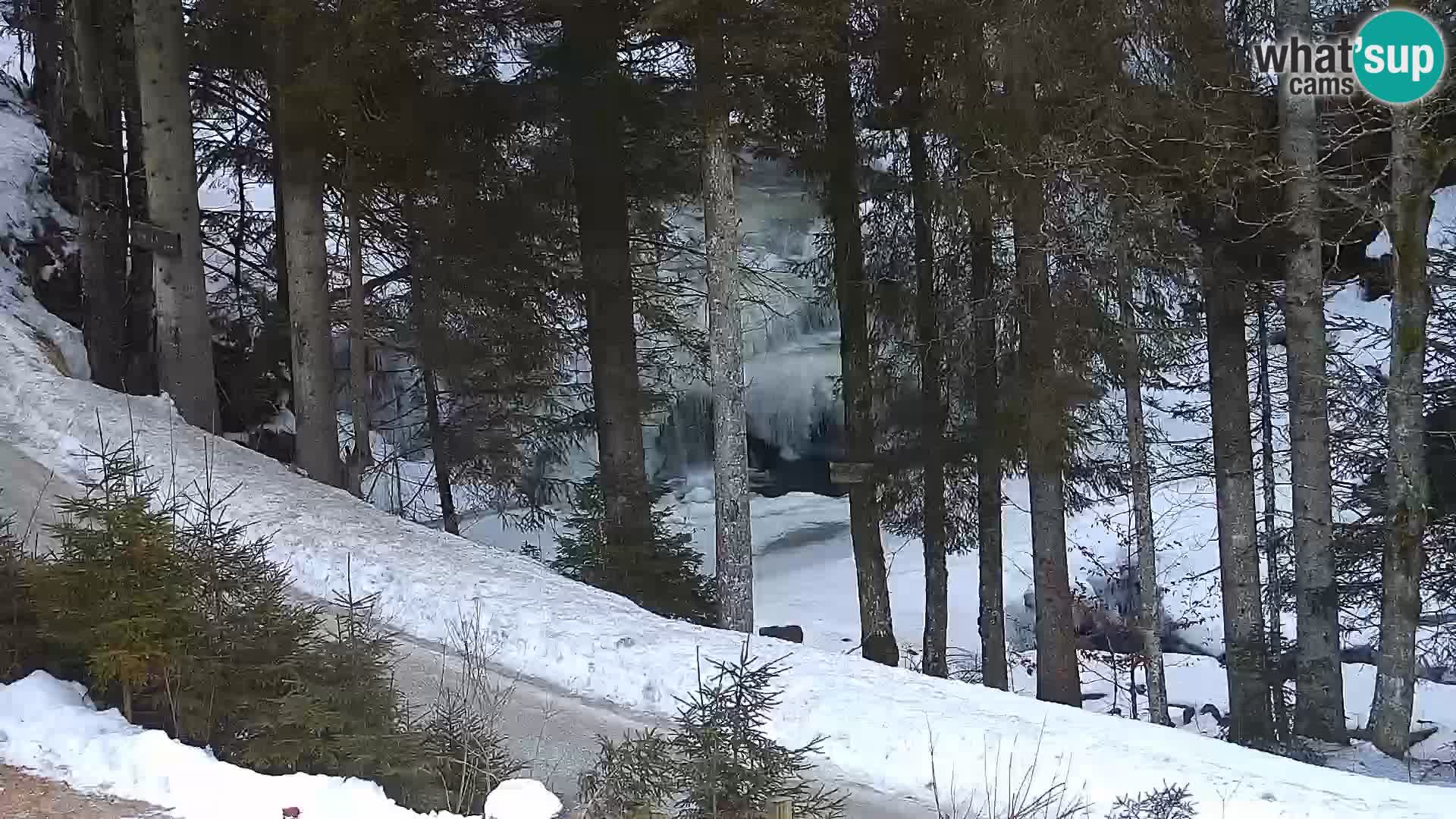 Live Rogla appartements Dandi – Jurgovo