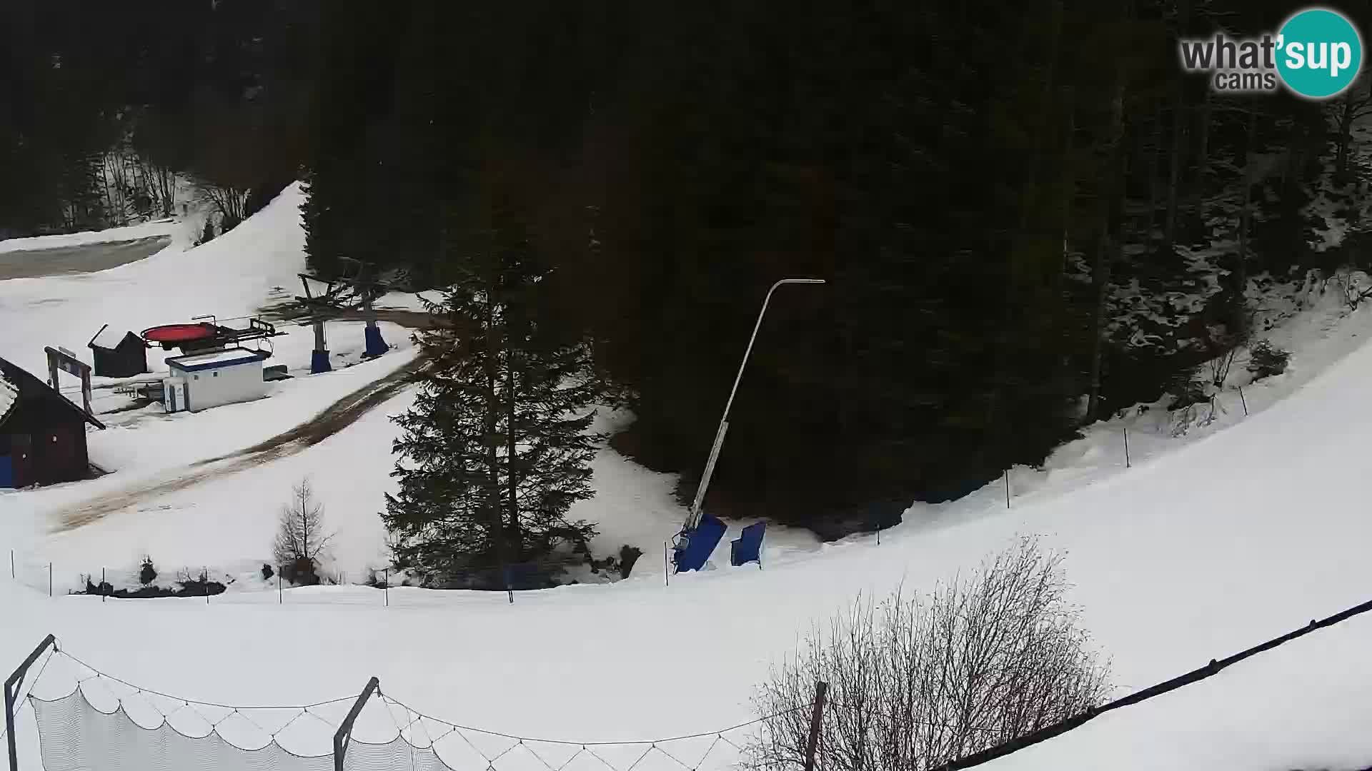 Livecam Rogla apartments Dandi – Jurgovo