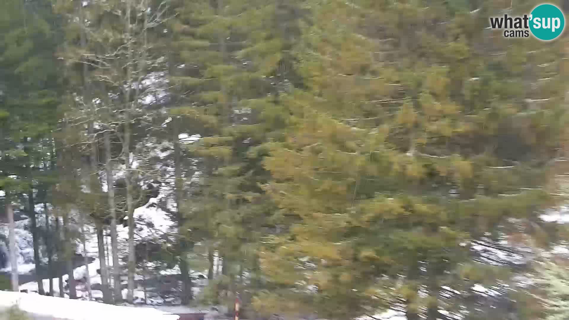 Livecam Rogla apartments Dandi – Jurgovo