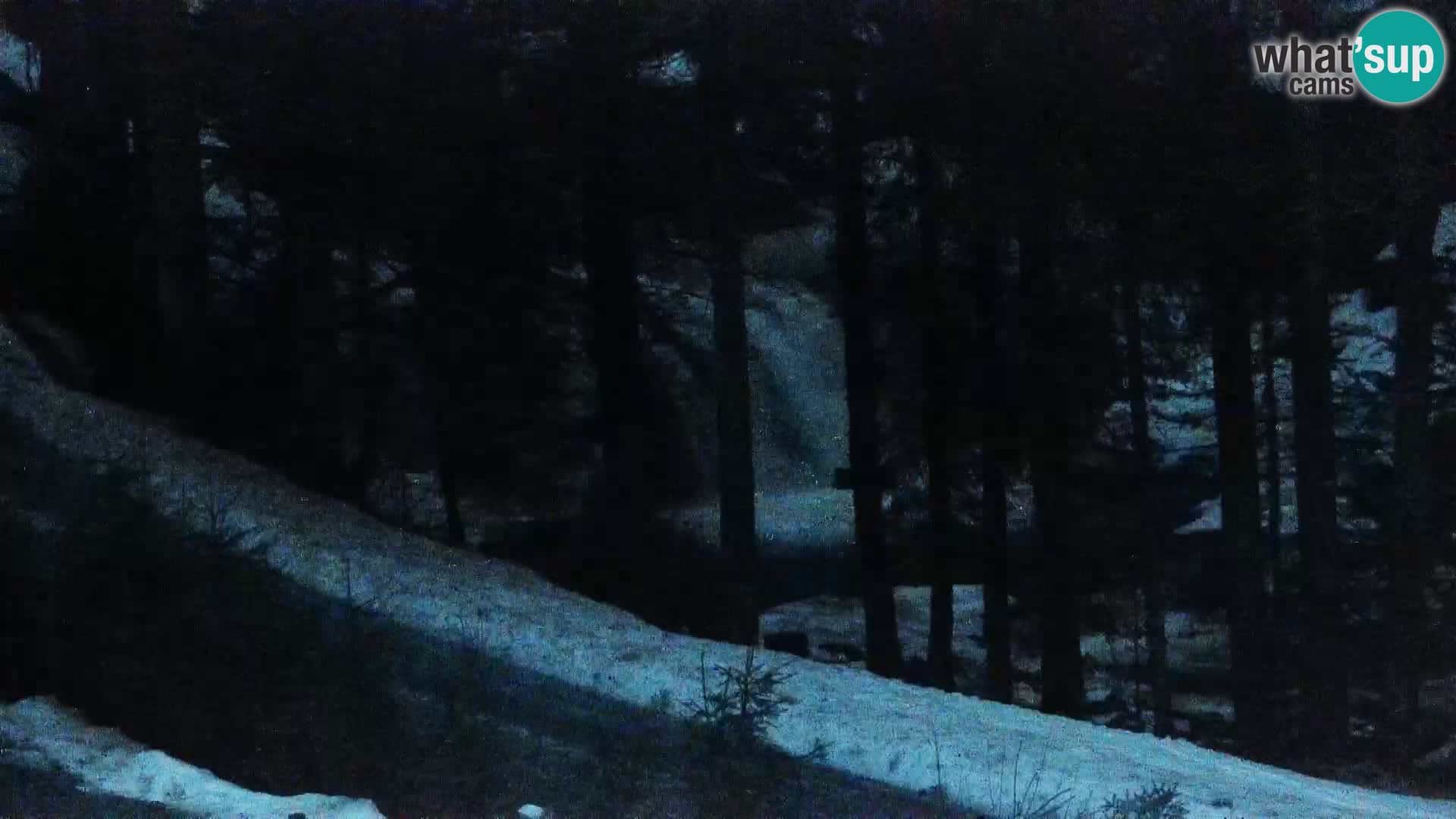 Livecam Rogla apartments Dandi – Jurgovo