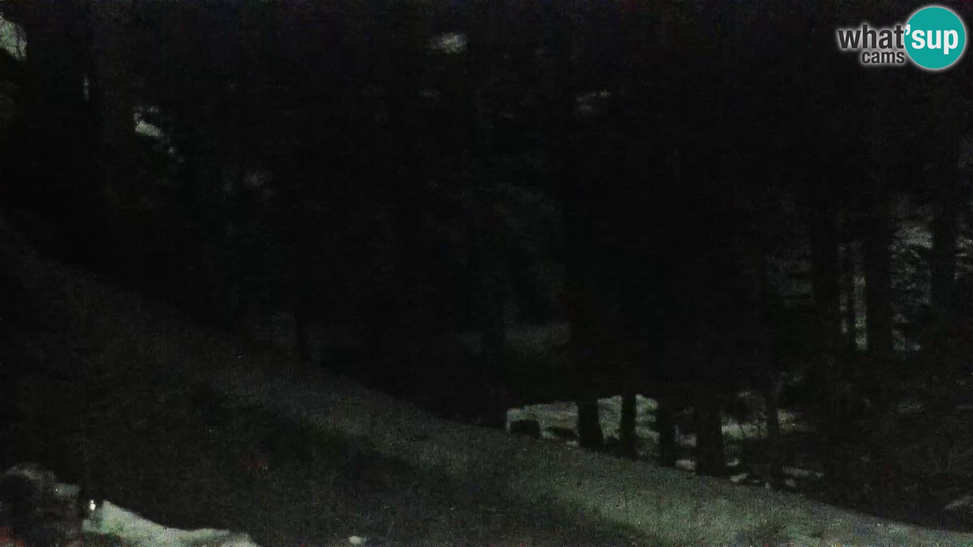 Web kamera Rogla apartmani Dandi – Jurgovo