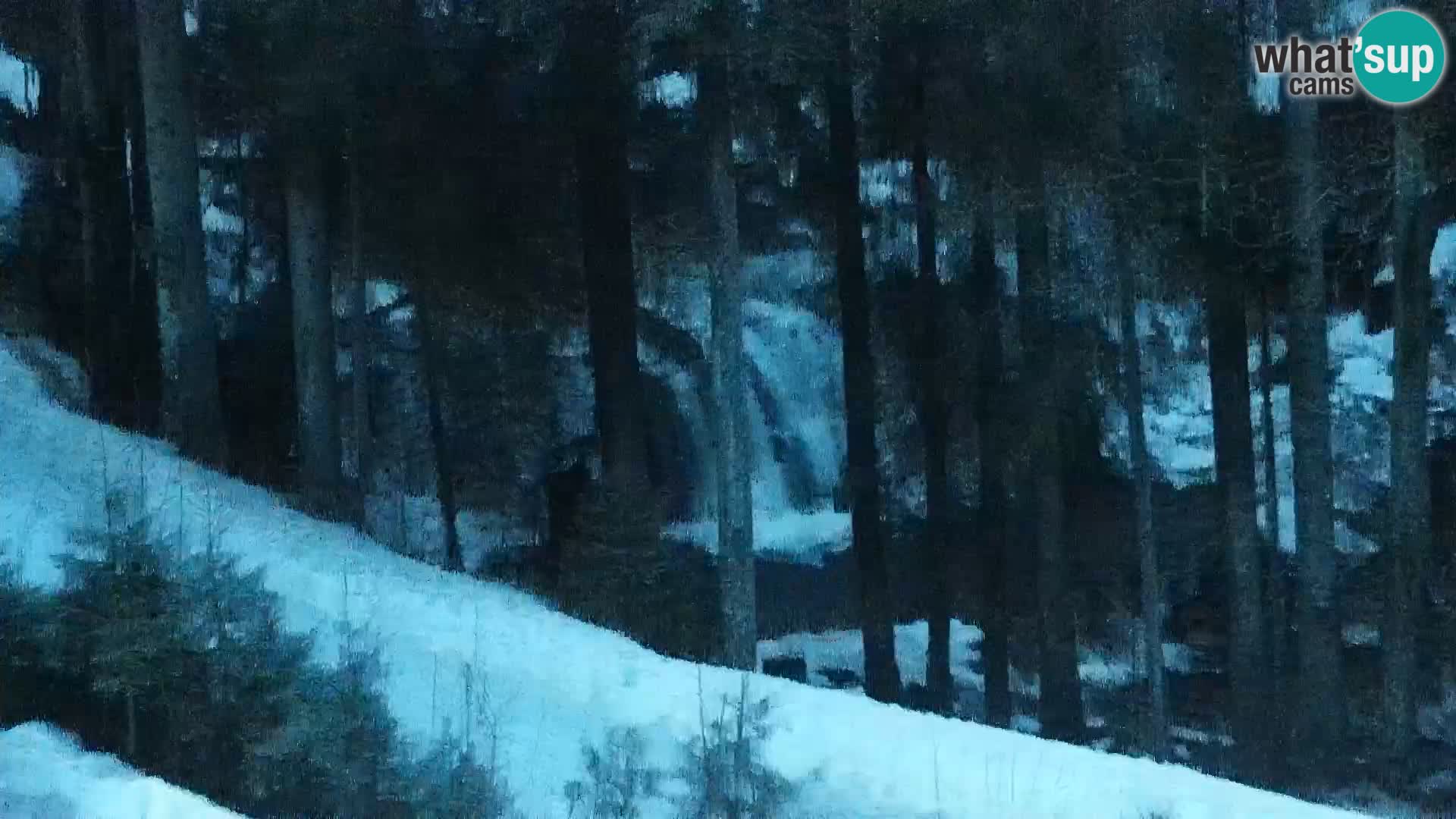 Camera en vivo Rogla appartamentos Dandi – Jurgovo