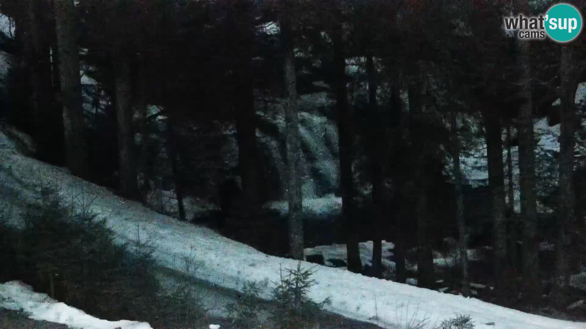 Live Rogla appartements Dandi – Jurgovo