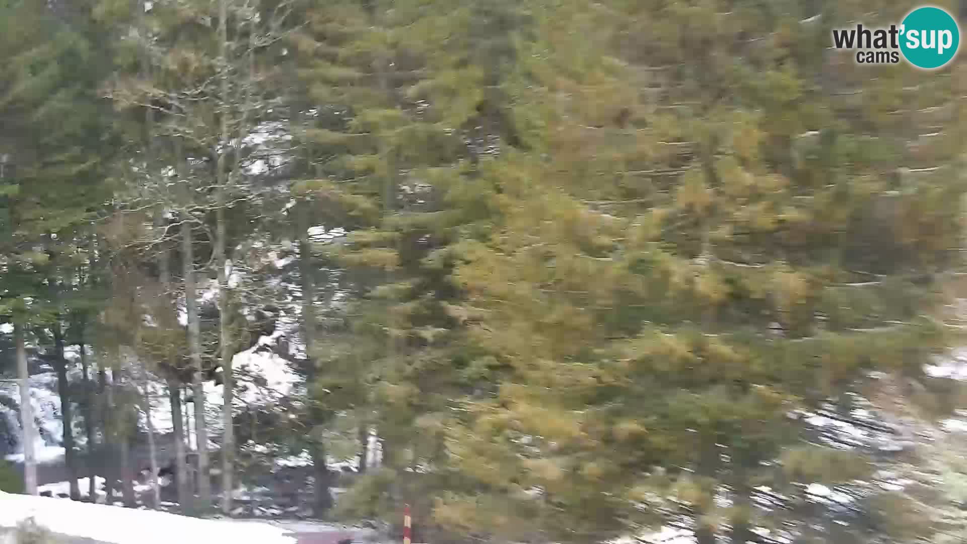 Livecam Rogla apartments Dandi – Jurgovo