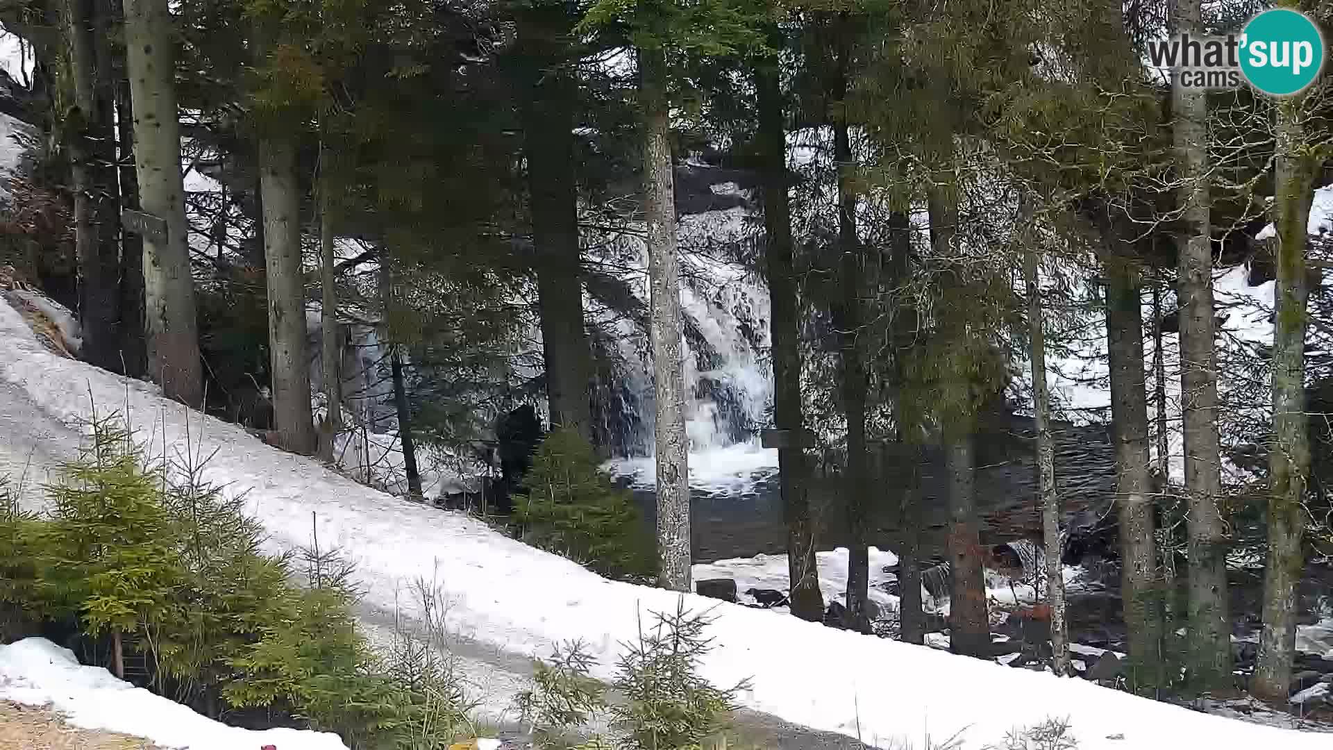 Webcam Rogla Wohnungen Dandi – Jurgovo