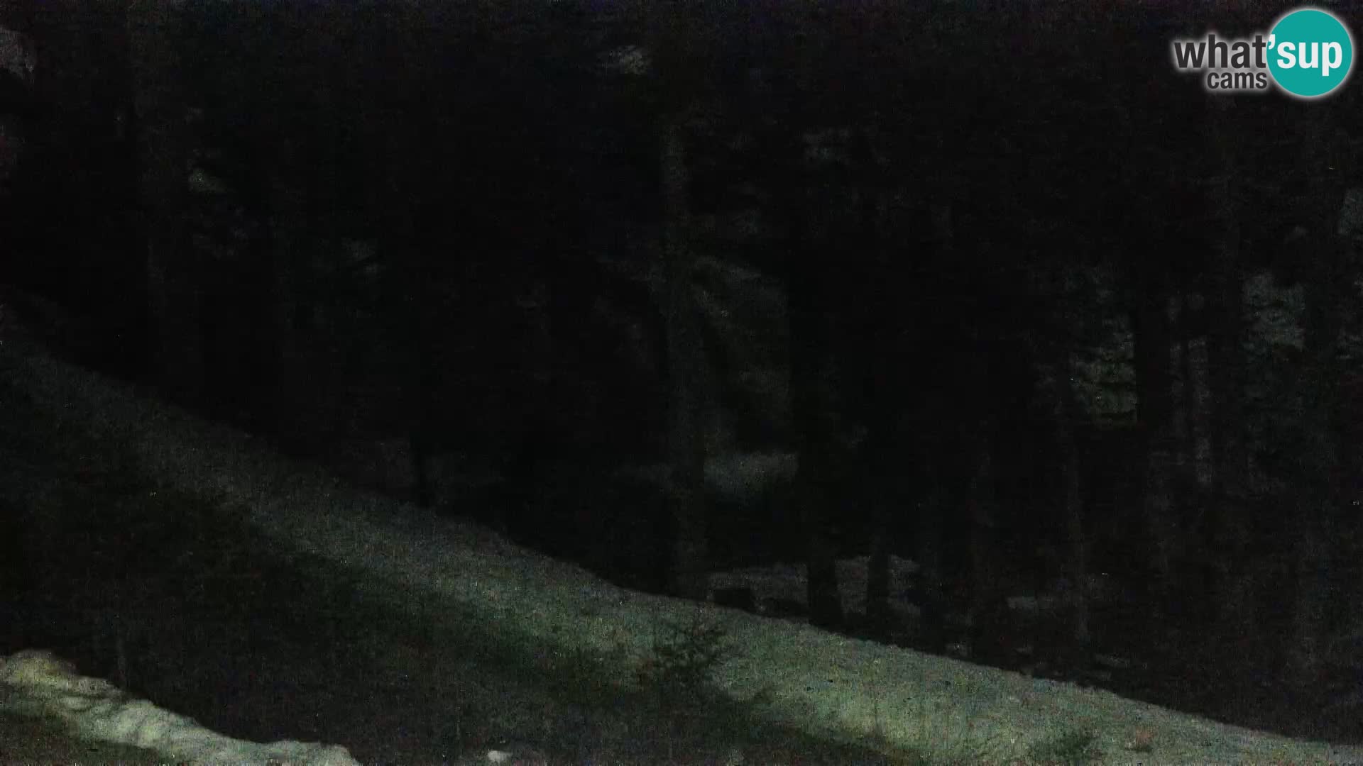 Camera en vivo Rogla appartamentos Dandi – Jurgovo