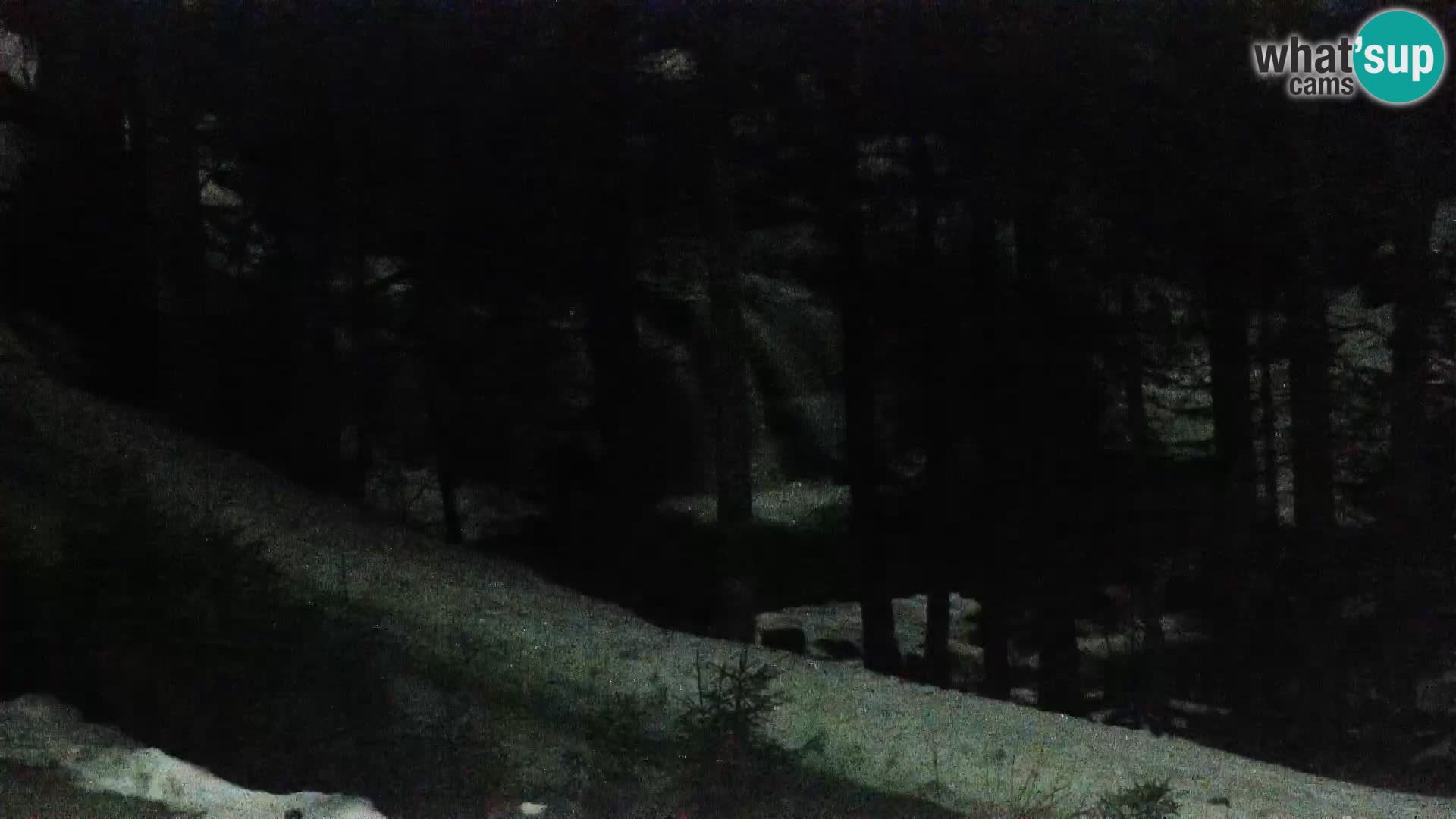 Spletna kamera Rogla apartmaji Dandi – Jurgovo