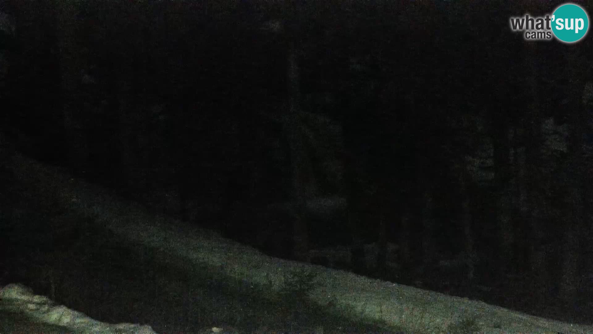 Spletna kamera Rogla apartmaji Dandi – Jurgovo