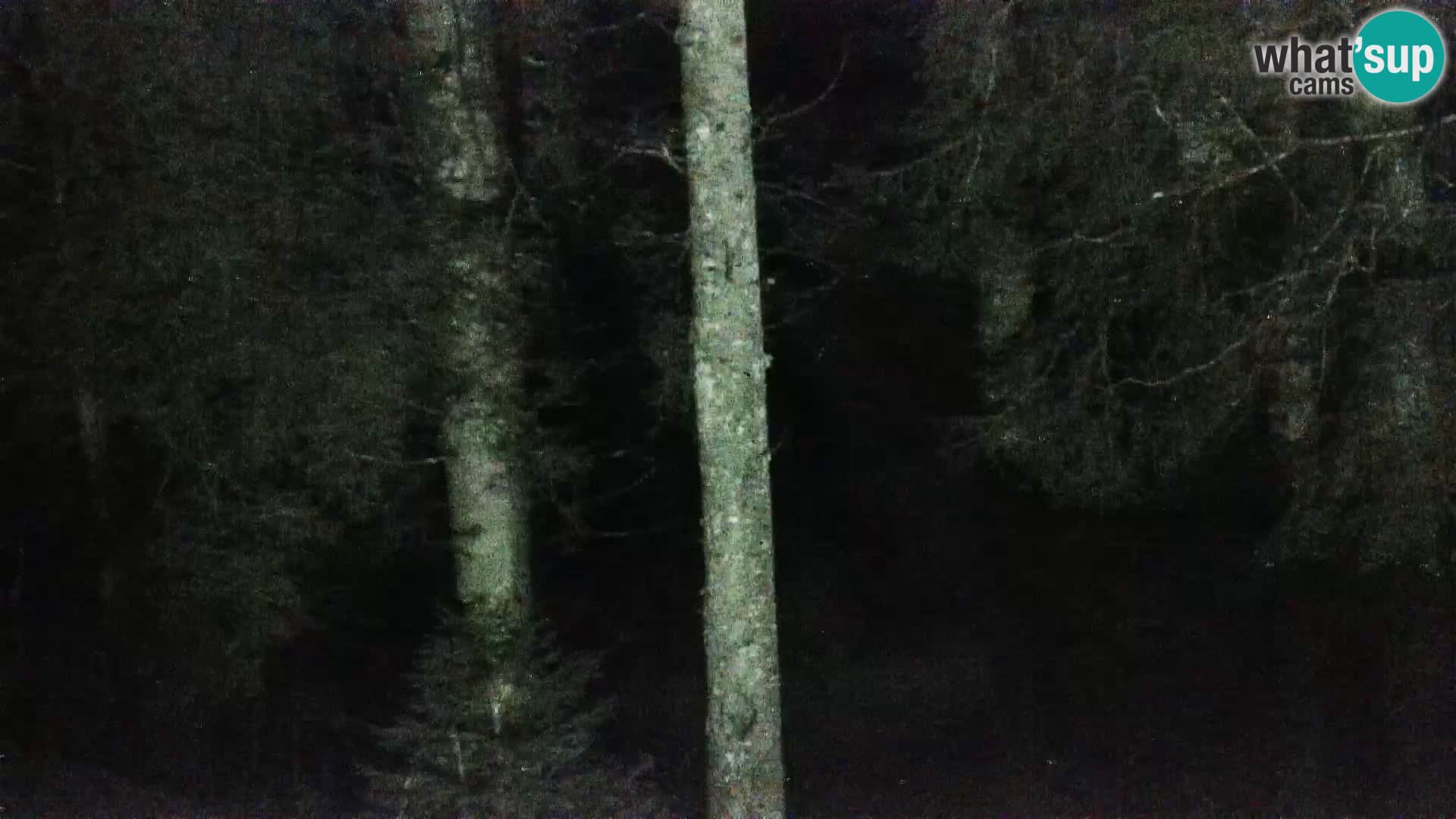 Live webcam Rogla appartamenti Dandi – Jurgovo