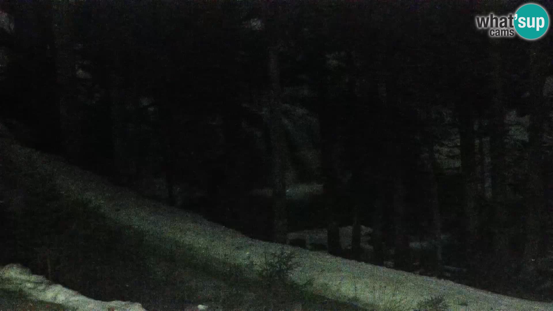 Livecam Rogla apartments Dandi – Jurgovo