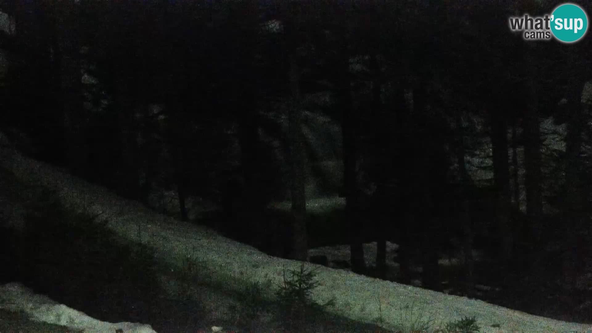 Camera en vivo Rogla appartamentos Dandi – Jurgovo