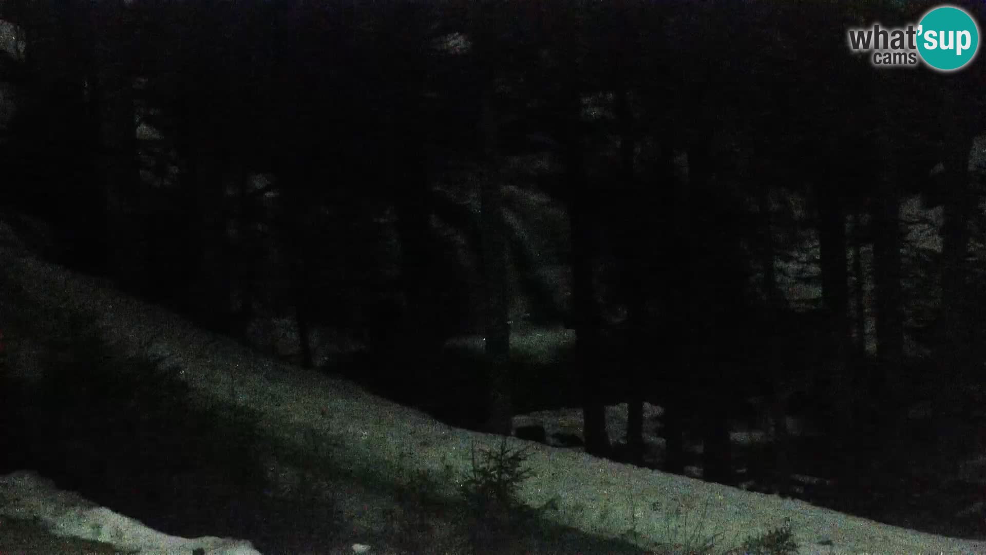 Live Rogla appartements Dandi – Jurgovo