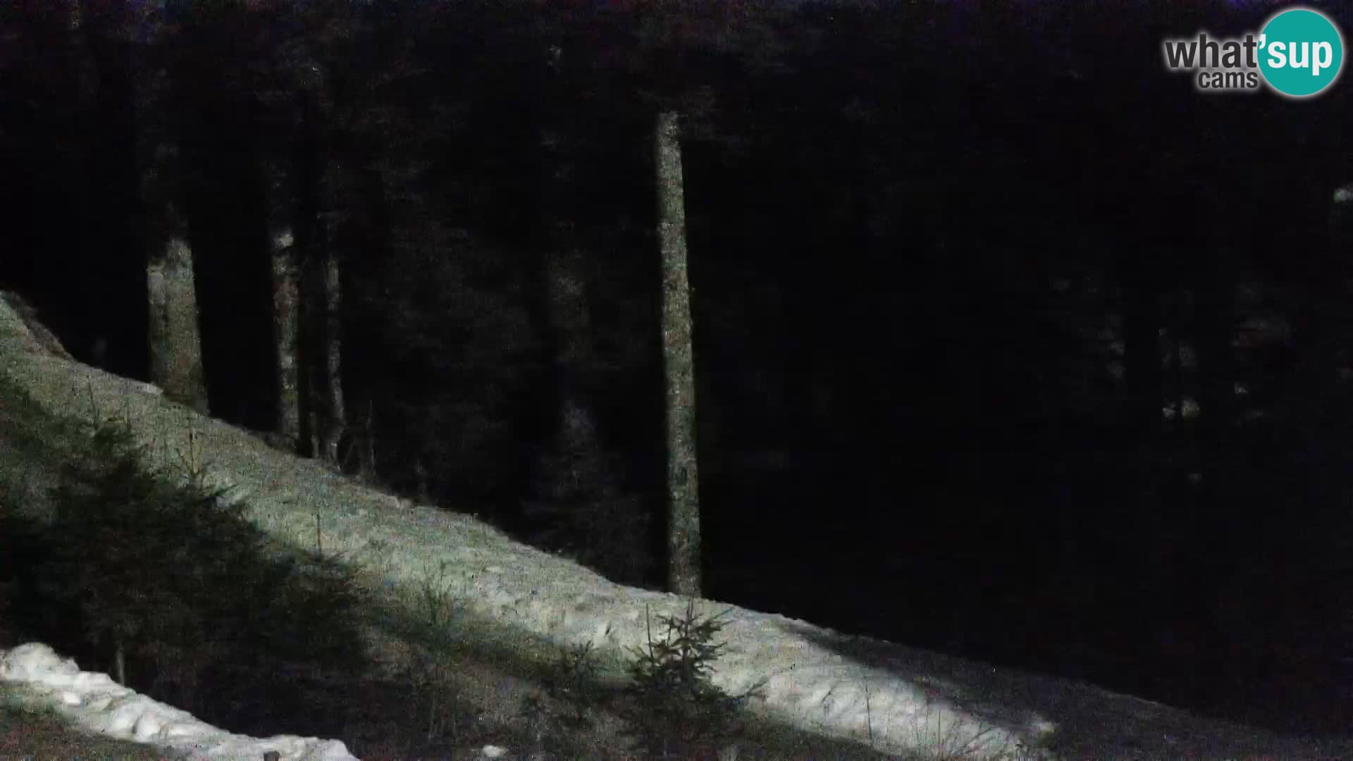 Livecam Rogla apartments Dandi – Jurgovo