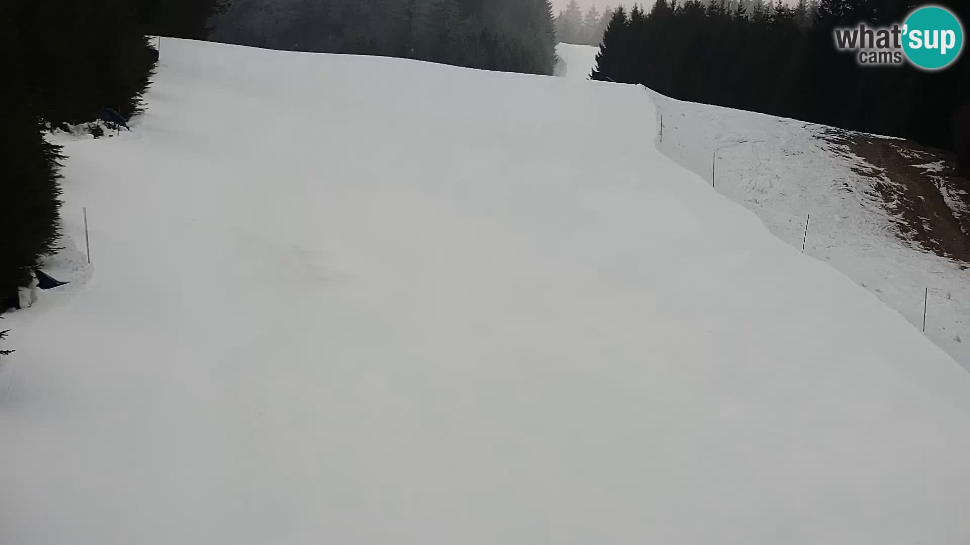 Spletna kamera Rogla apartmaji Dandi – Jurgovo