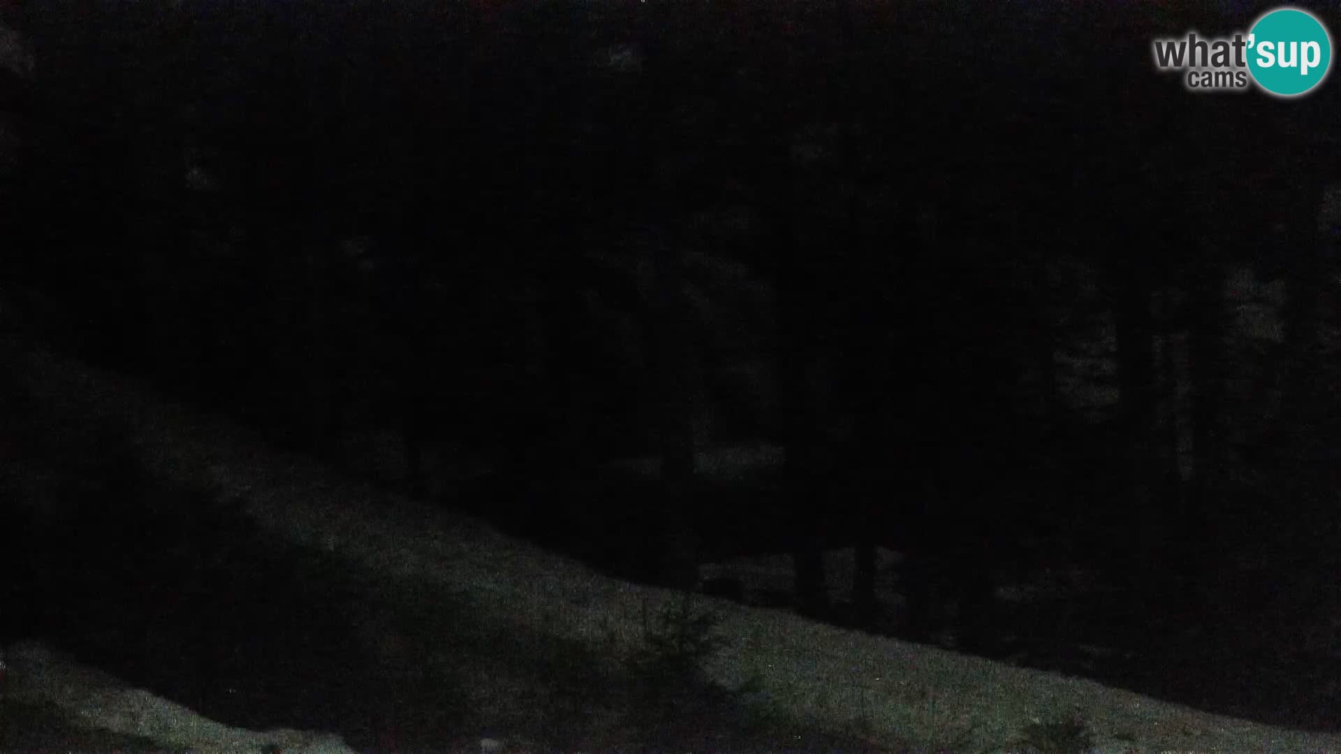 Spletna kamera Rogla apartmaji Dandi – Jurgovo