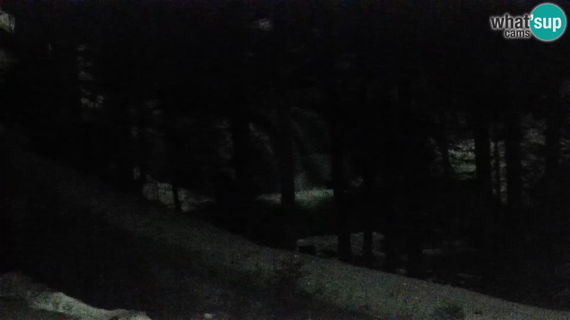 Webcam Rogla Wohnungen Dandi – Jurgovo