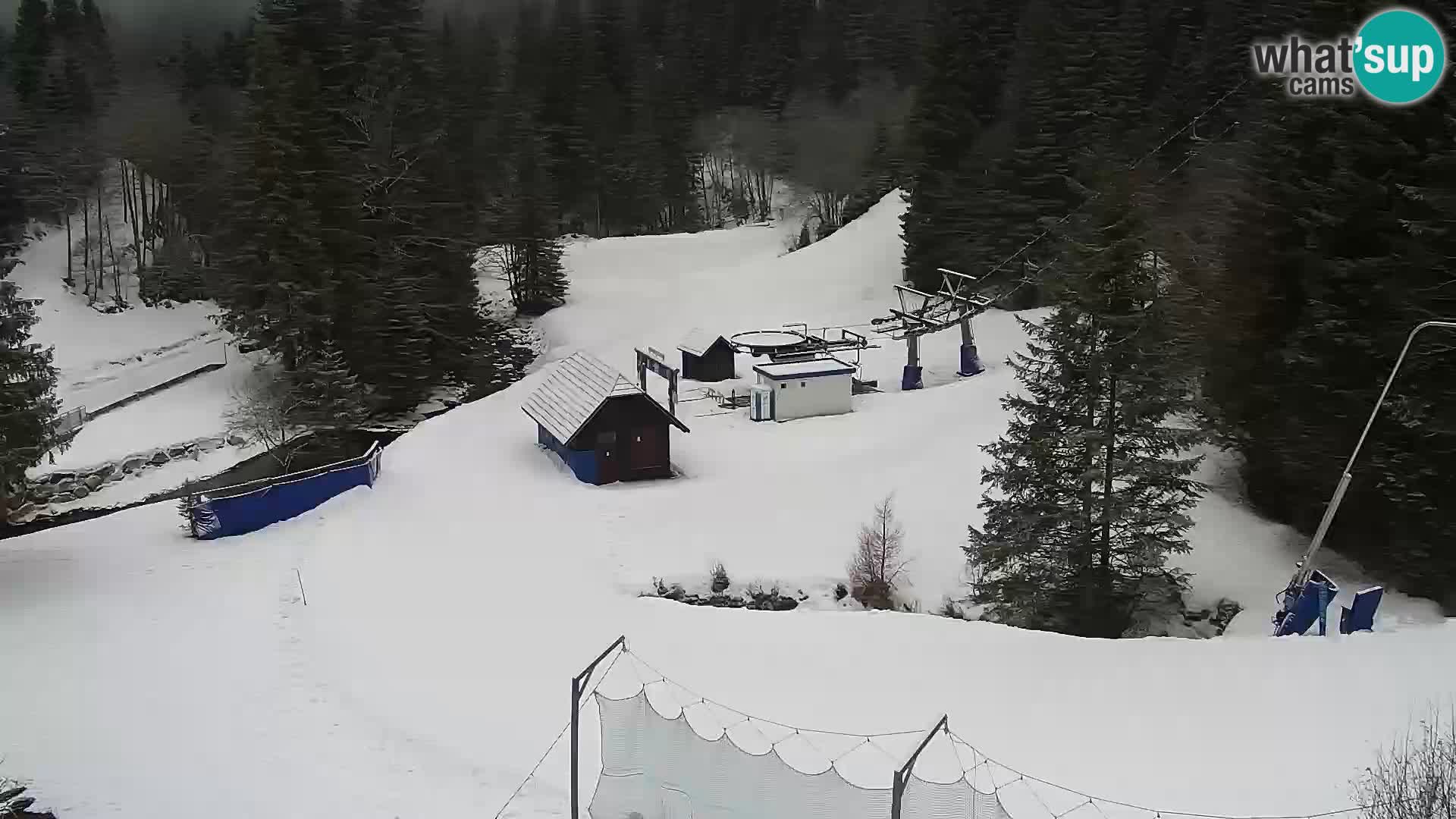 Spletna kamera Rogla apartmaji Dandi – Jurgovo