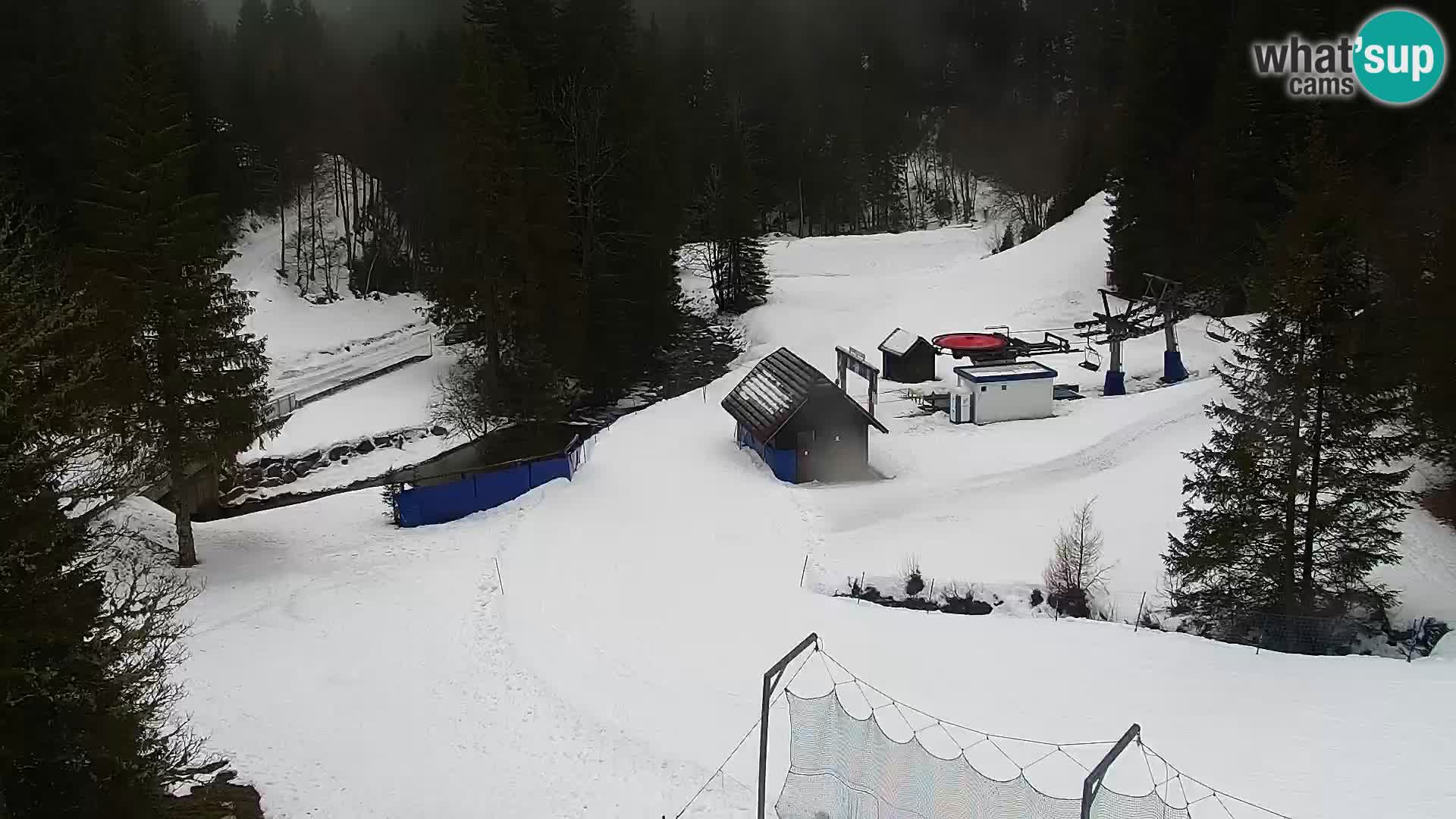 Spletna kamera Rogla apartmaji Dandi – Jurgovo