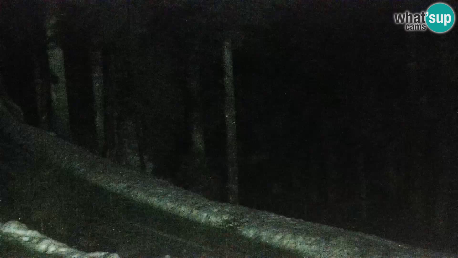 Spletna kamera Rogla apartmaji Dandi – Jurgovo