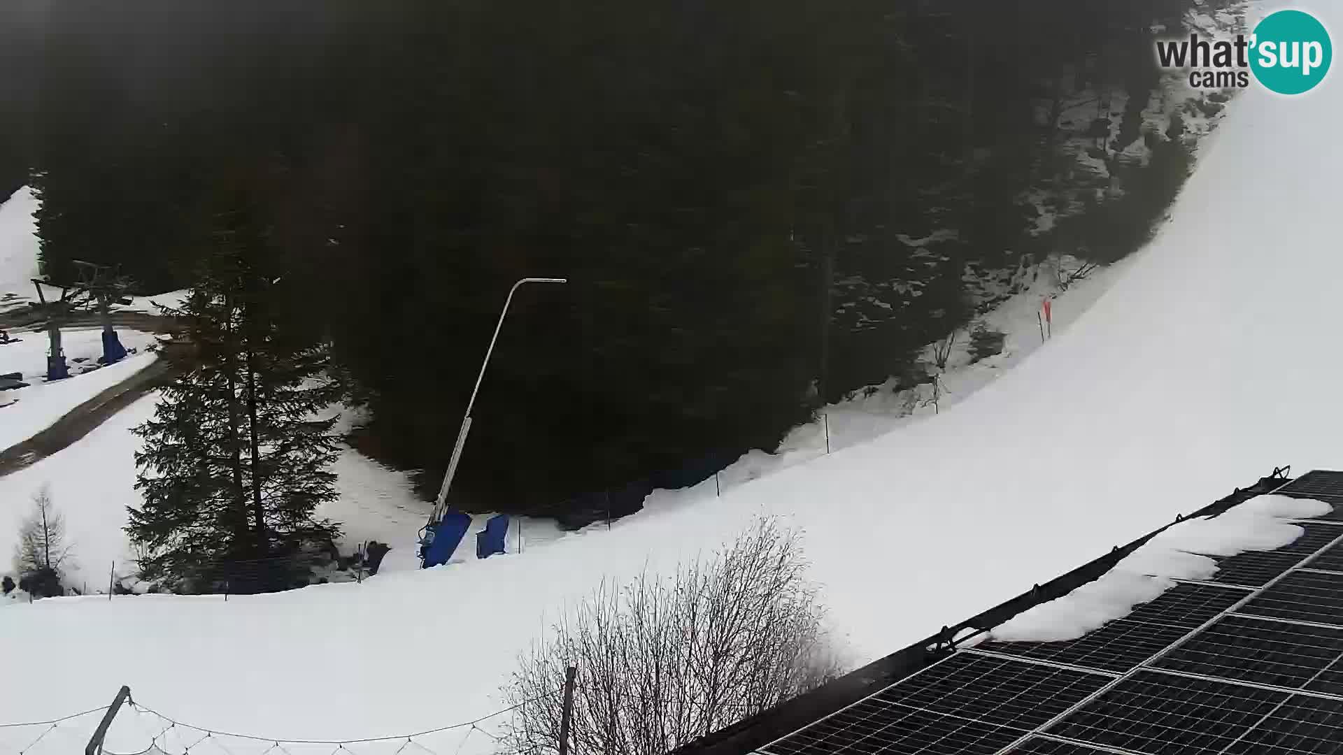 Camera en vivo Rogla appartamentos Dandi – Jurgovo