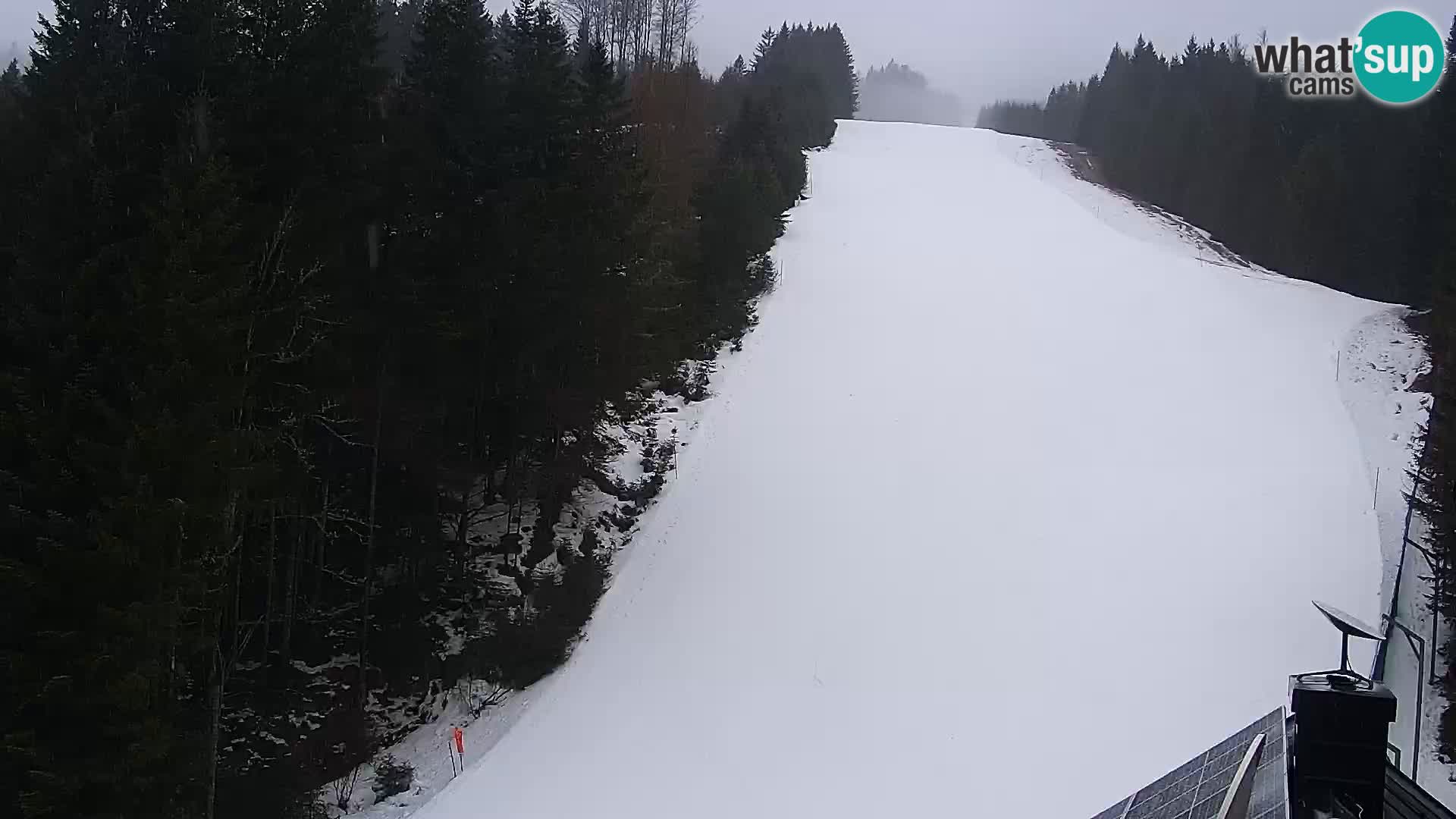 Webcam Rogla Wohnungen Dandi – Jurgovo