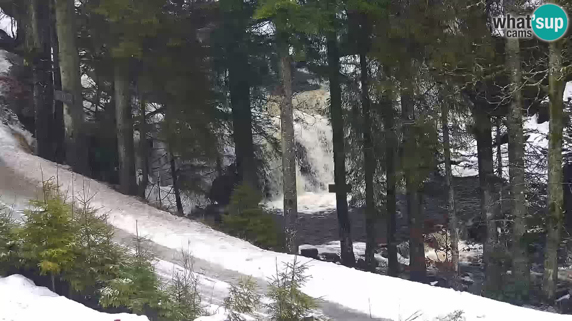 Live Rogla appartements Dandi – Jurgovo