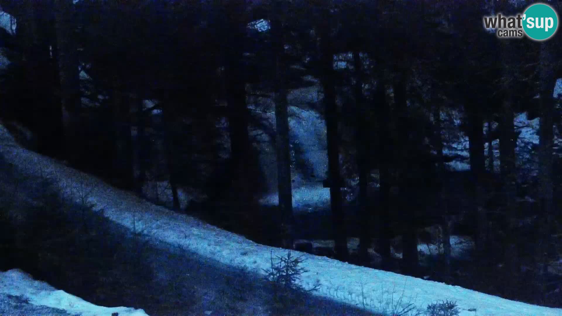 Web kamera Rogla apartmani Dandi – Jurgovo