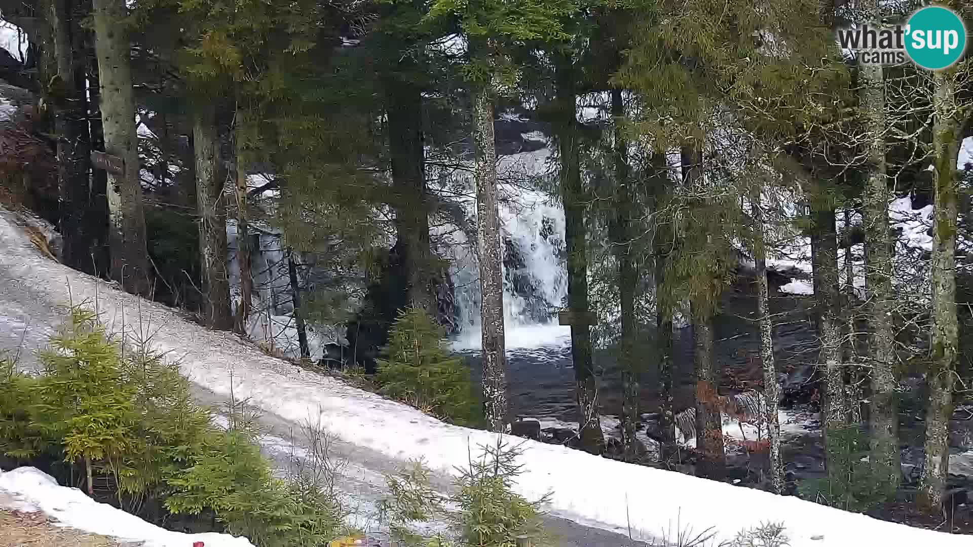 Web kamera Rogla apartmani Dandi – Jurgovo