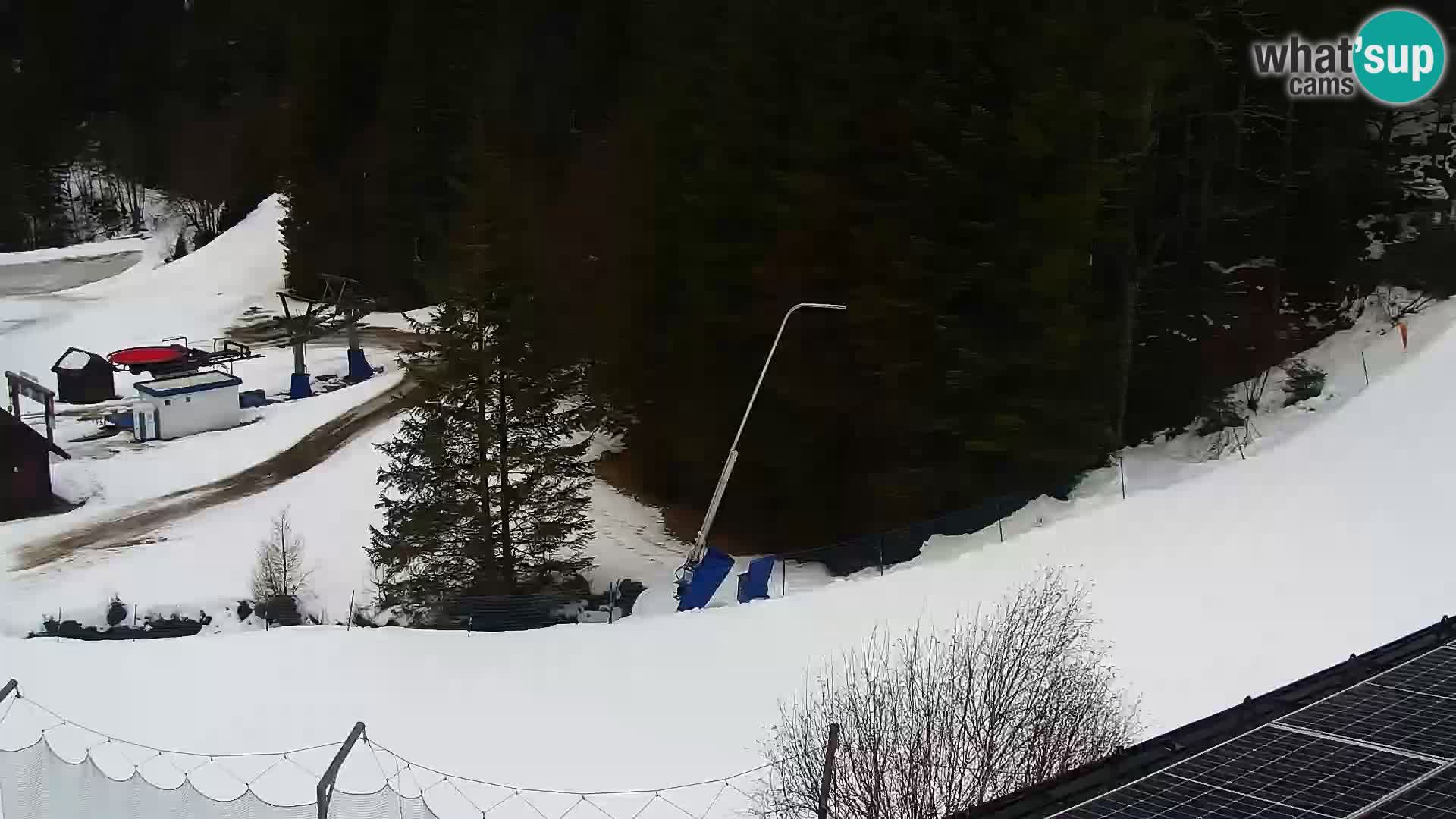 Live webcam Rogla appartamenti Dandi – Jurgovo