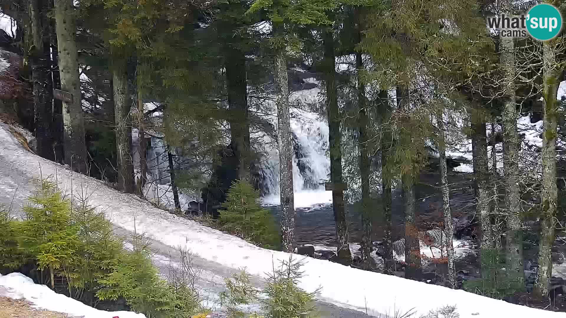 Live Rogla appartements Dandi – Jurgovo