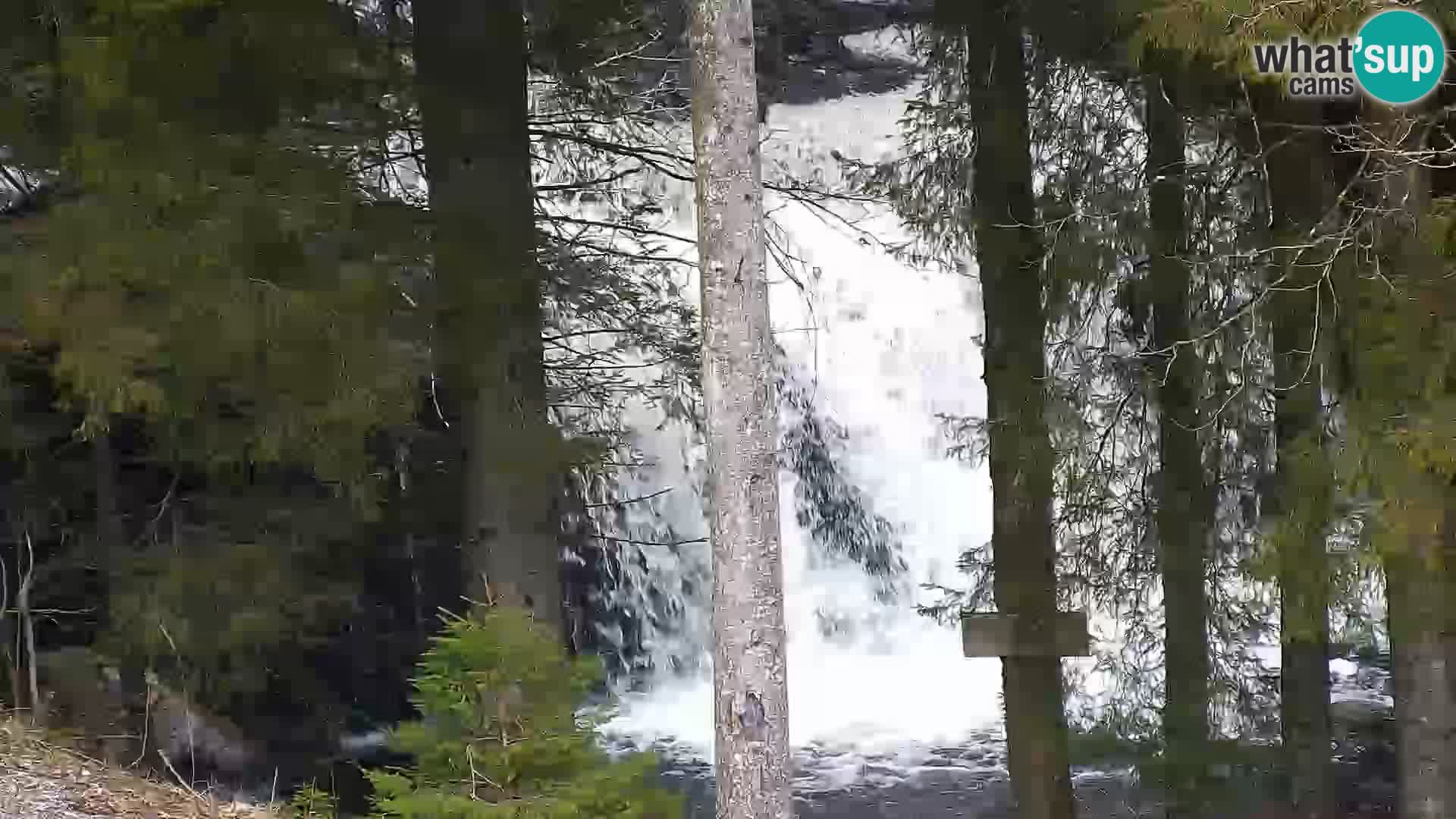 Spletna kamera Rogla apartmaji Dandi – Jurgovo