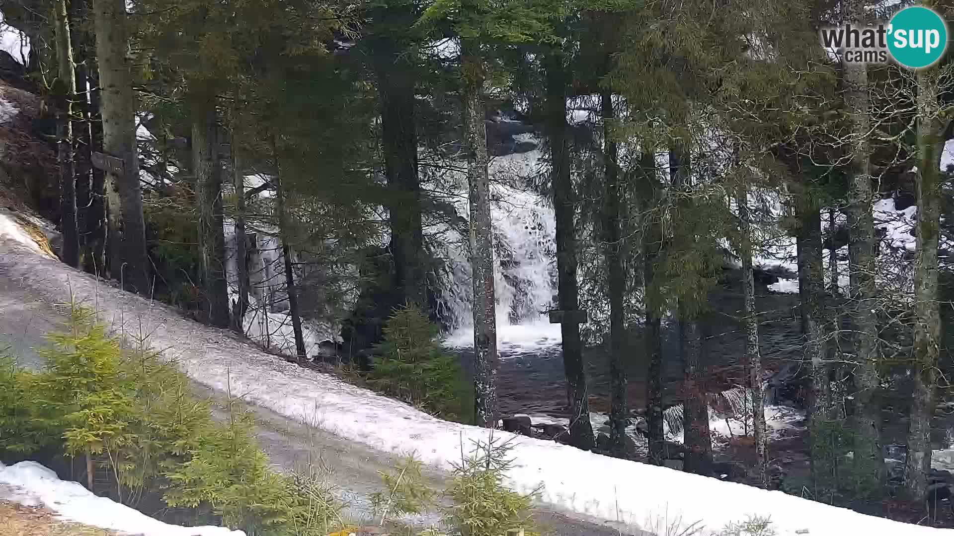 Webcam Rogla Wohnungen Dandi – Jurgovo