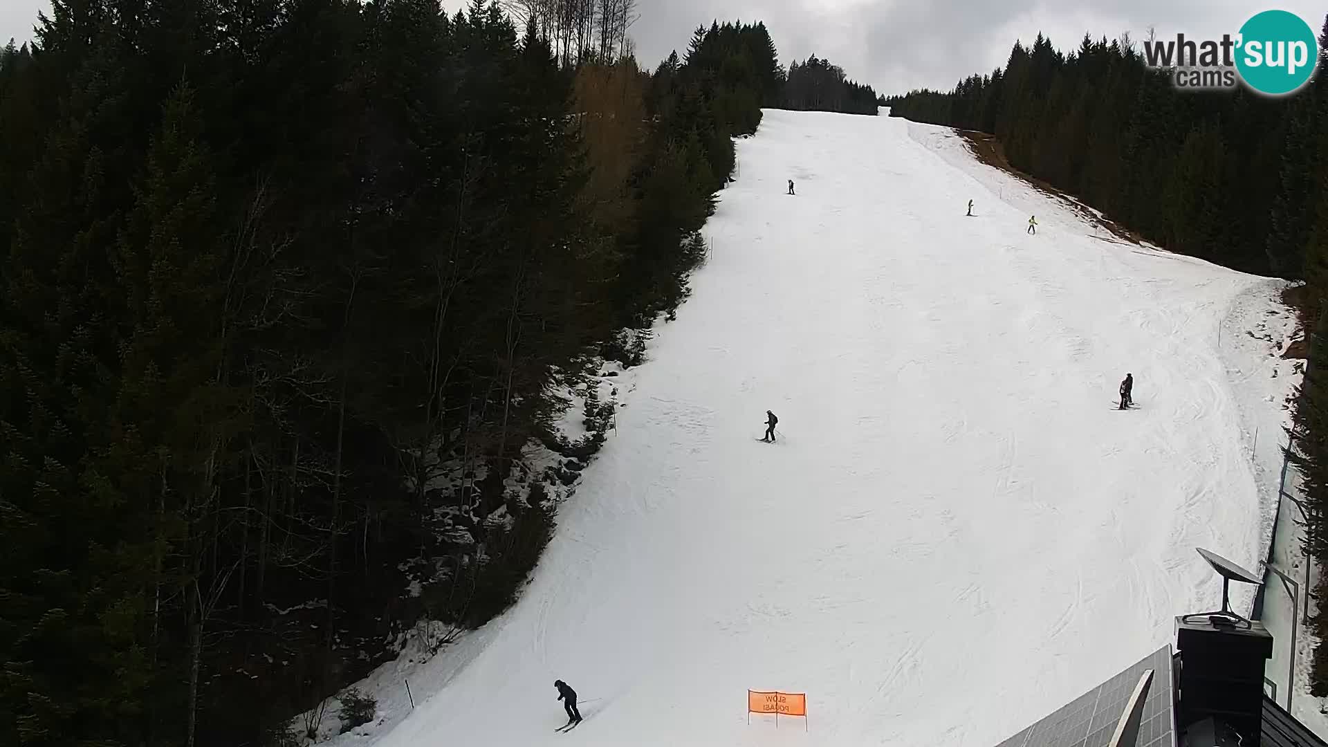 Camera en vivo Rogla appartamentos Dandi – Jurgovo