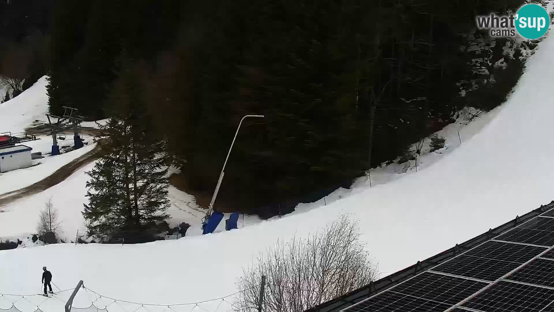 Live Rogla appartements Dandi – Jurgovo