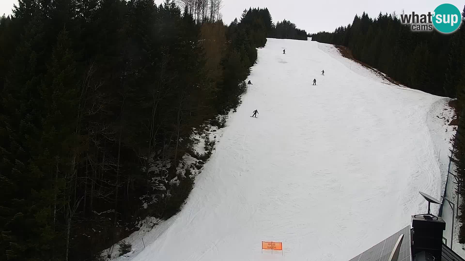 Web kamera Rogla apartmani Dandi – Jurgovo