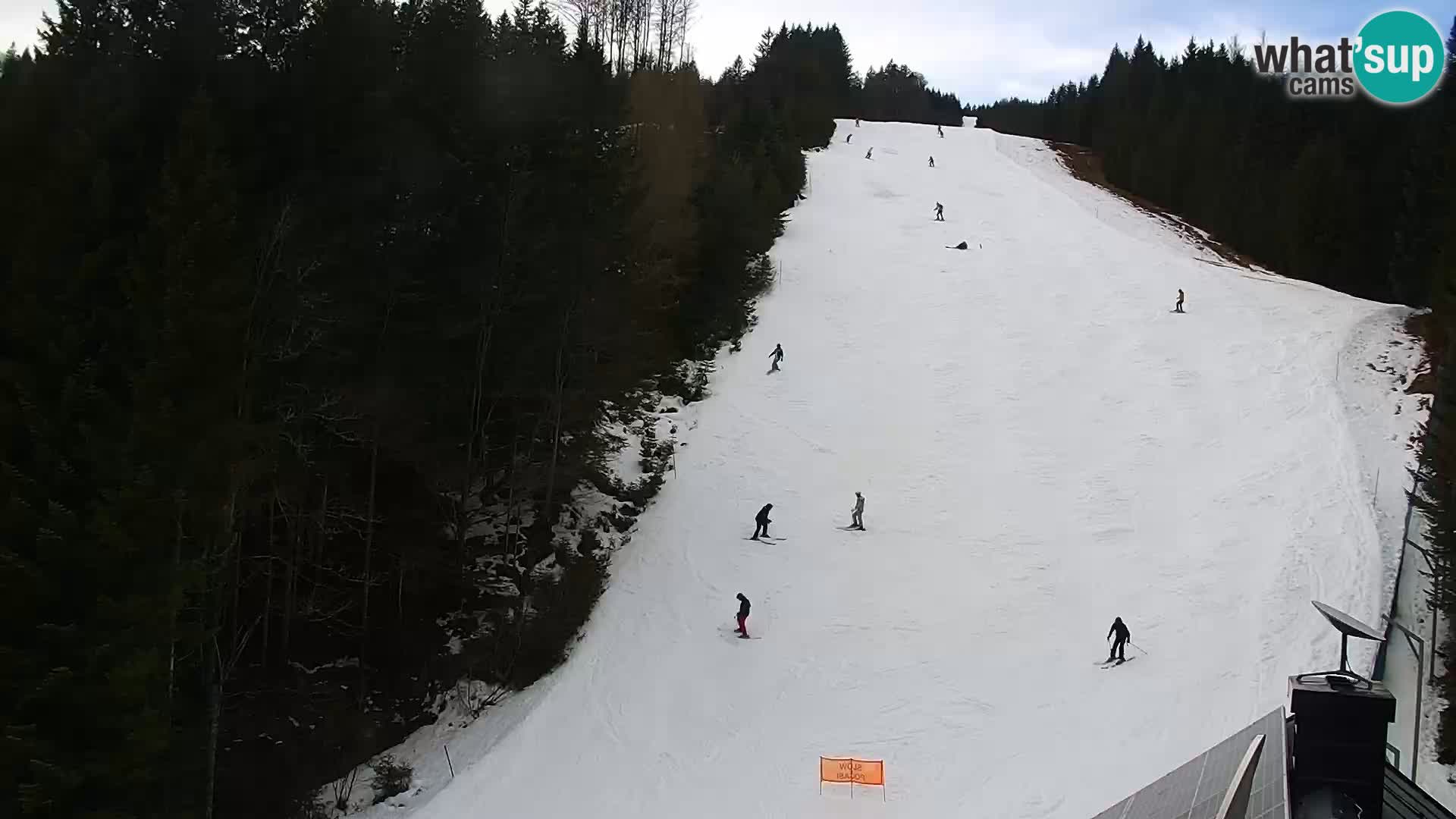 Camera en vivo Rogla appartamentos Dandi – Jurgovo