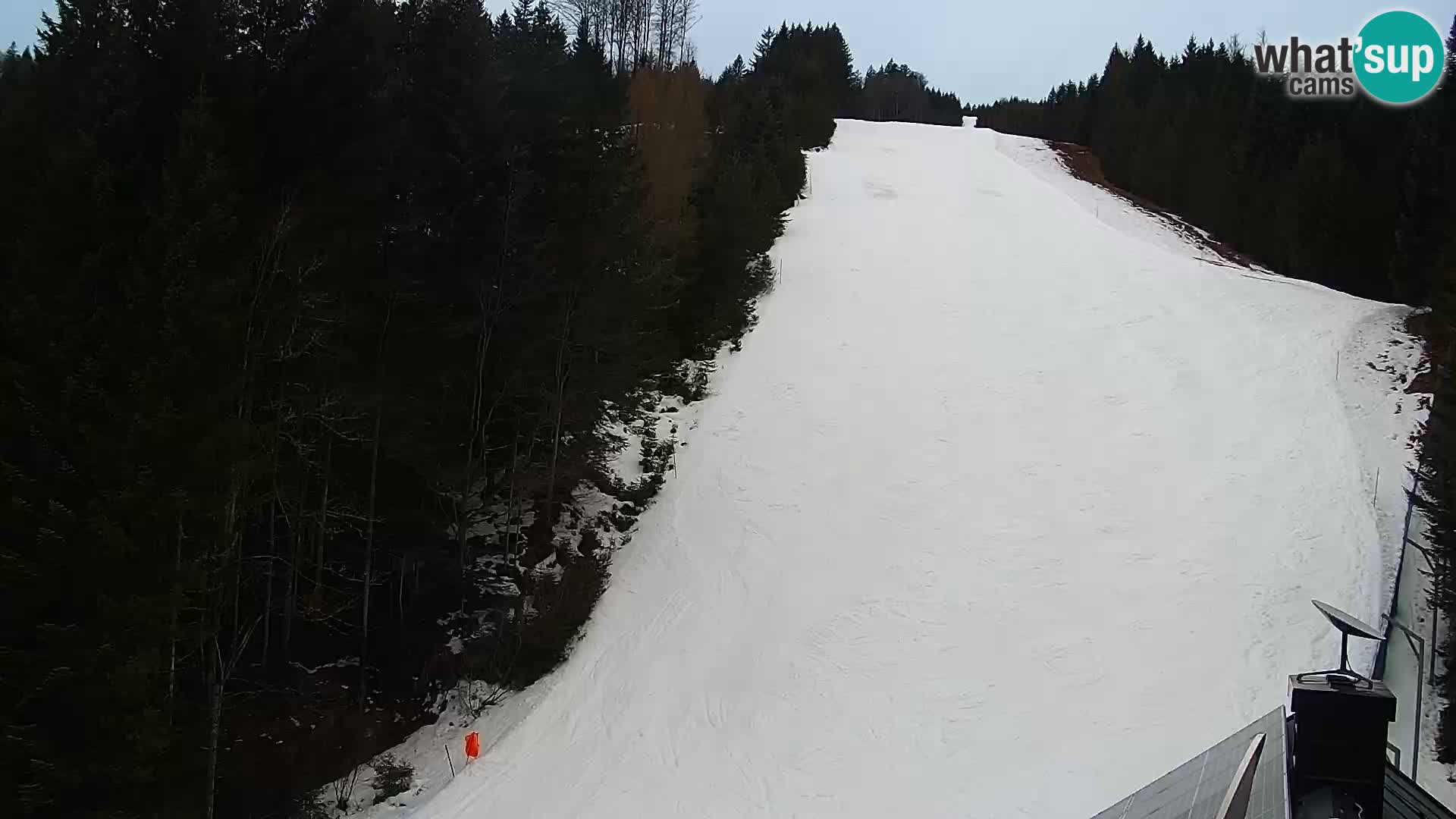 Live Rogla appartements Dandi – Jurgovo