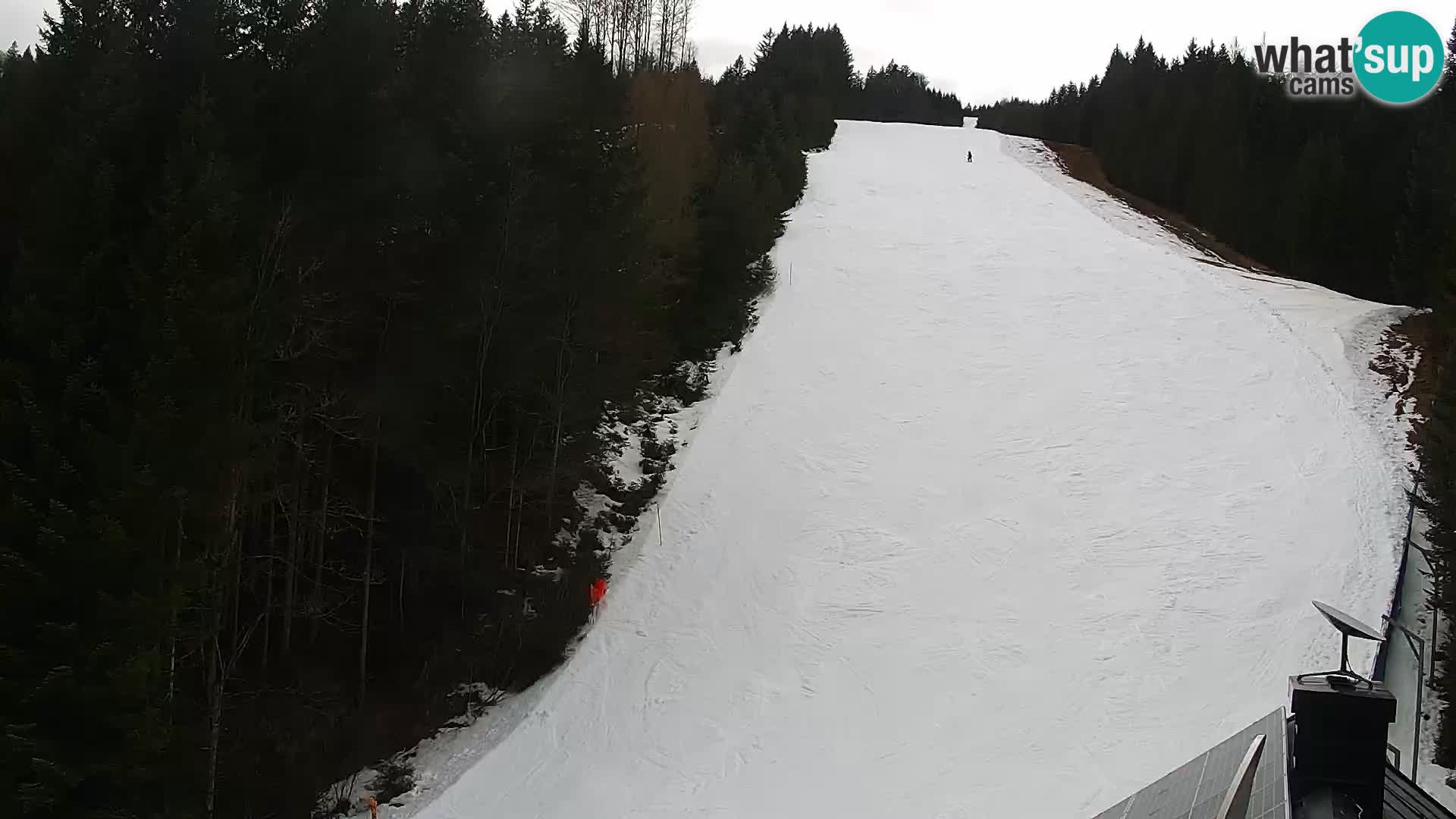 Webcam Rogla Wohnungen Dandi – Jurgovo