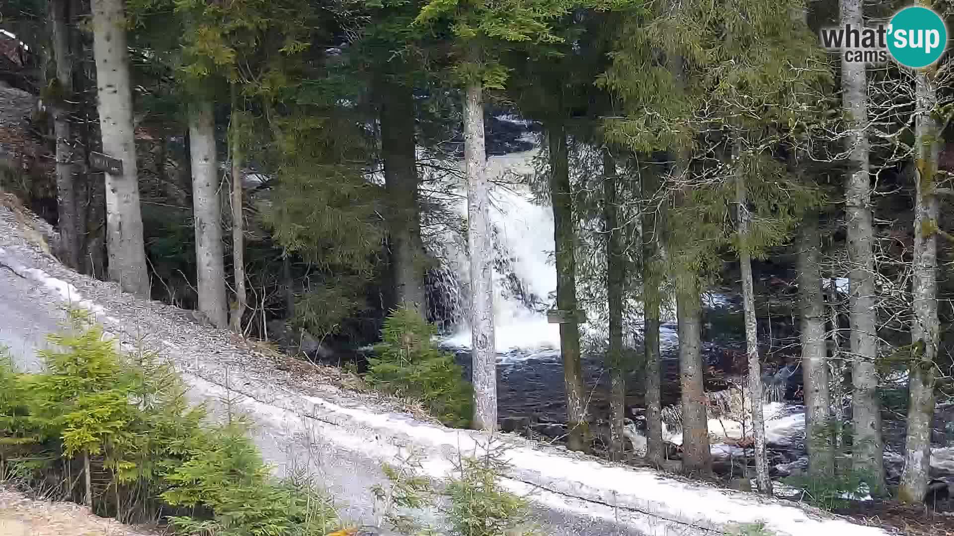 Web kamera Rogla apartmani Dandi – Jurgovo