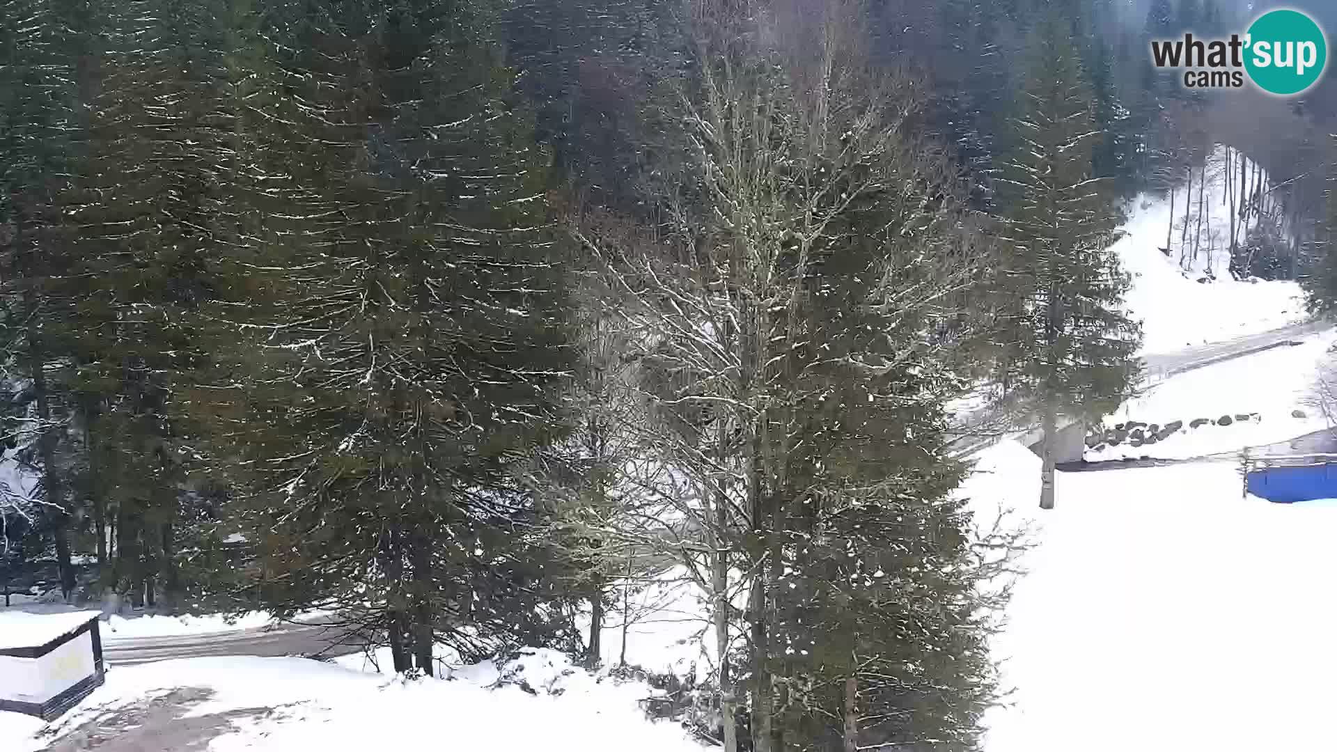 Livecam Rogla apartments Dandi – Jurgovo