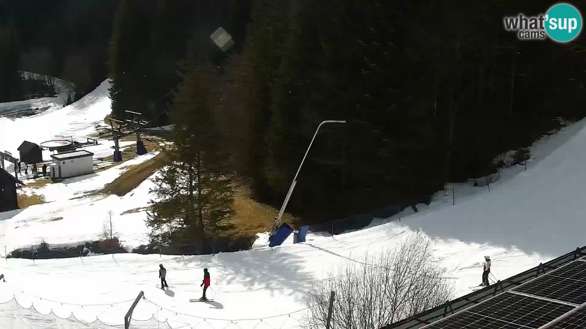 Livecam Rogla apartments Dandi – Jurgovo