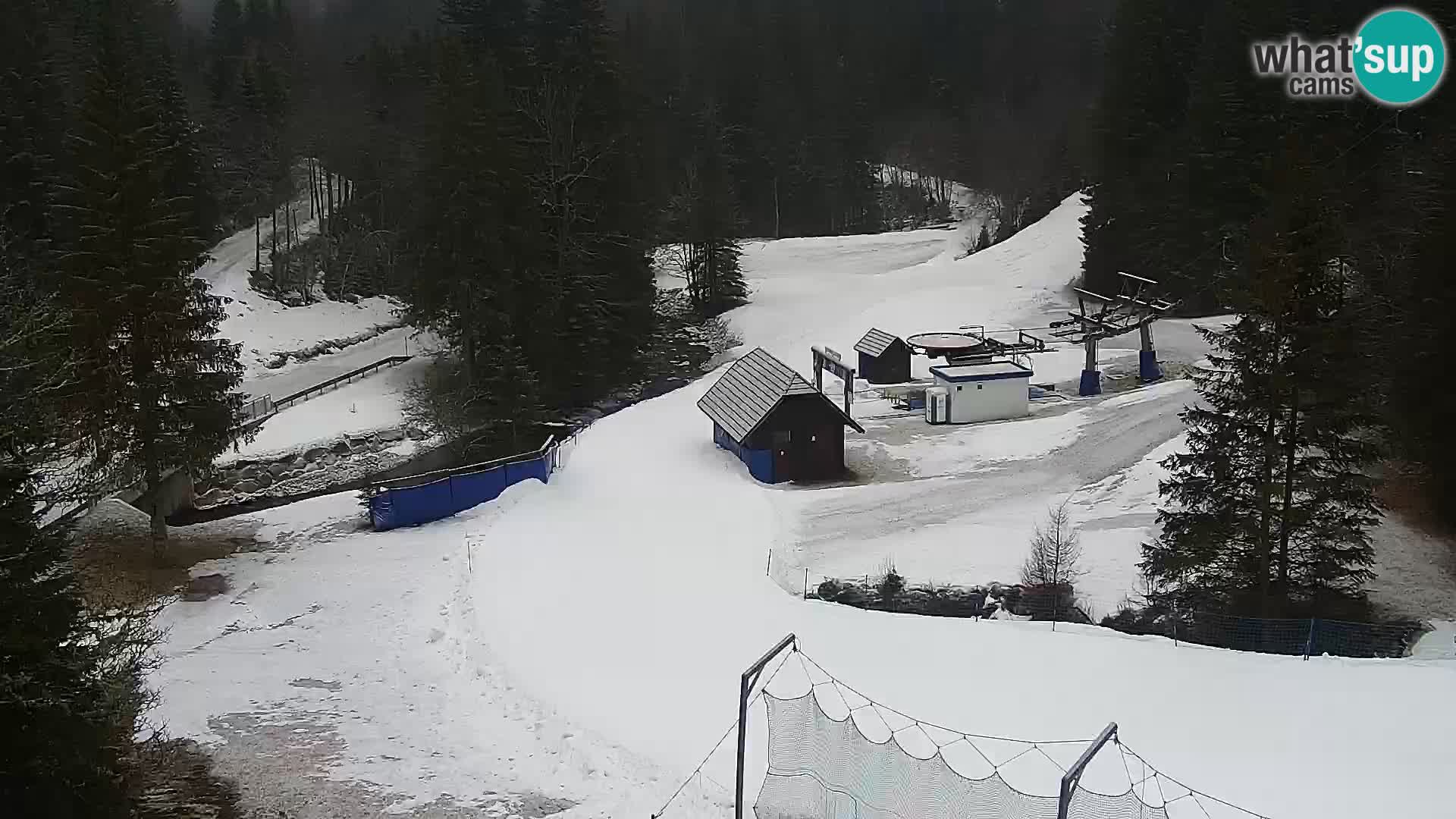 Web kamera Rogla apartmani Dandi – Jurgovo